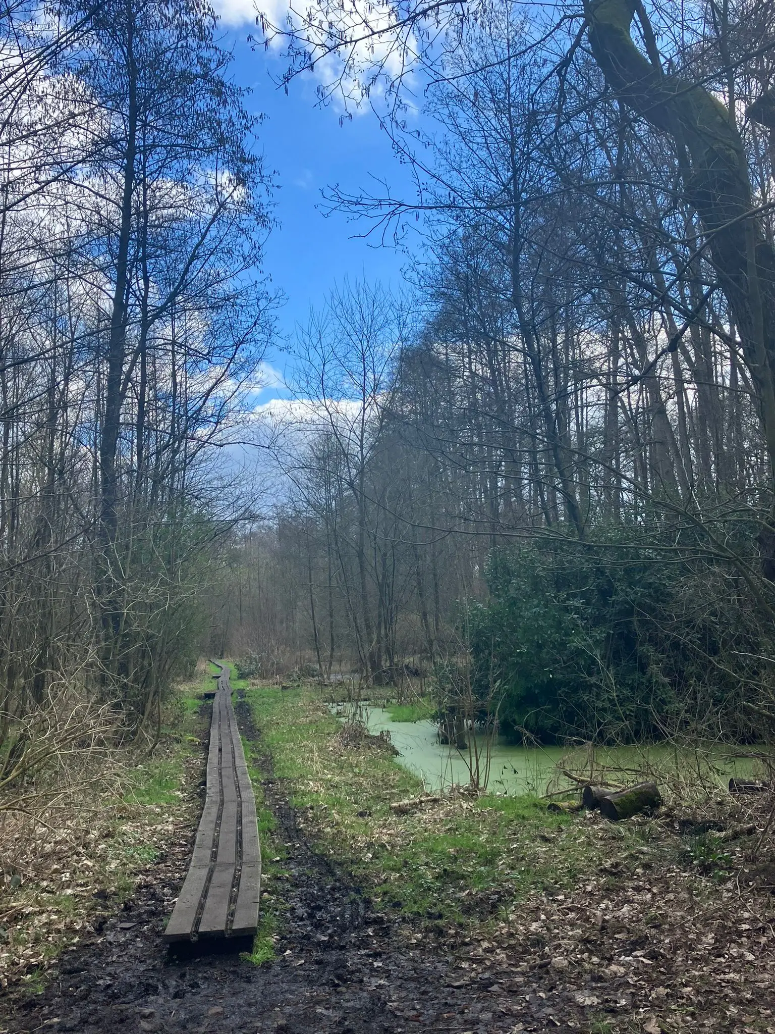 Wandeling afbeelding