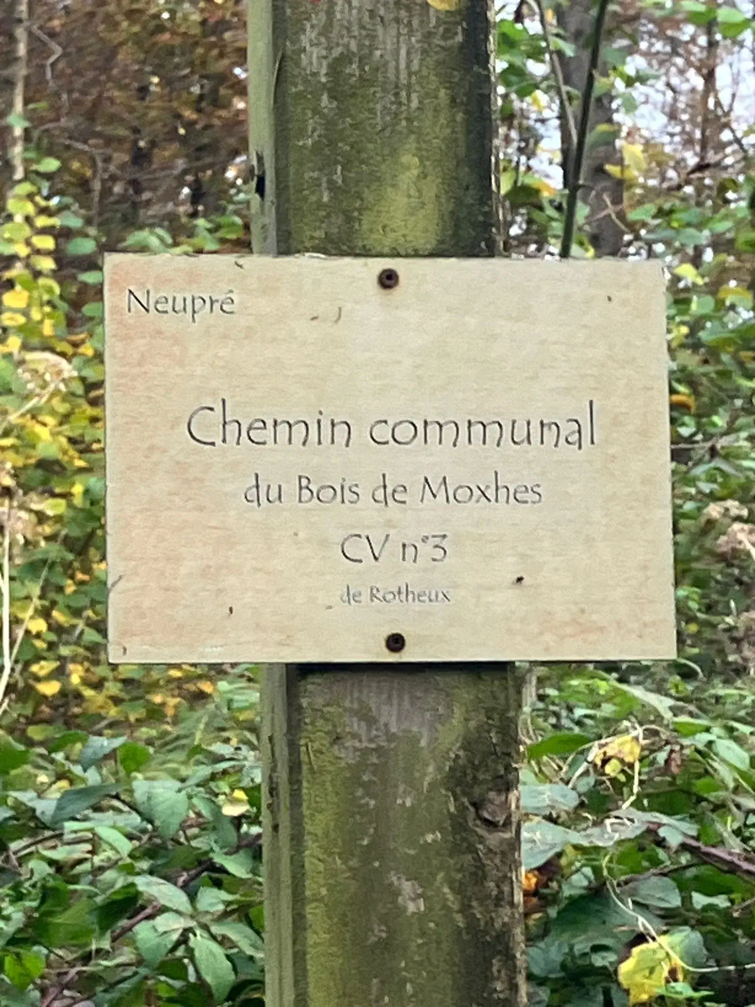 Wandeling afbeelding