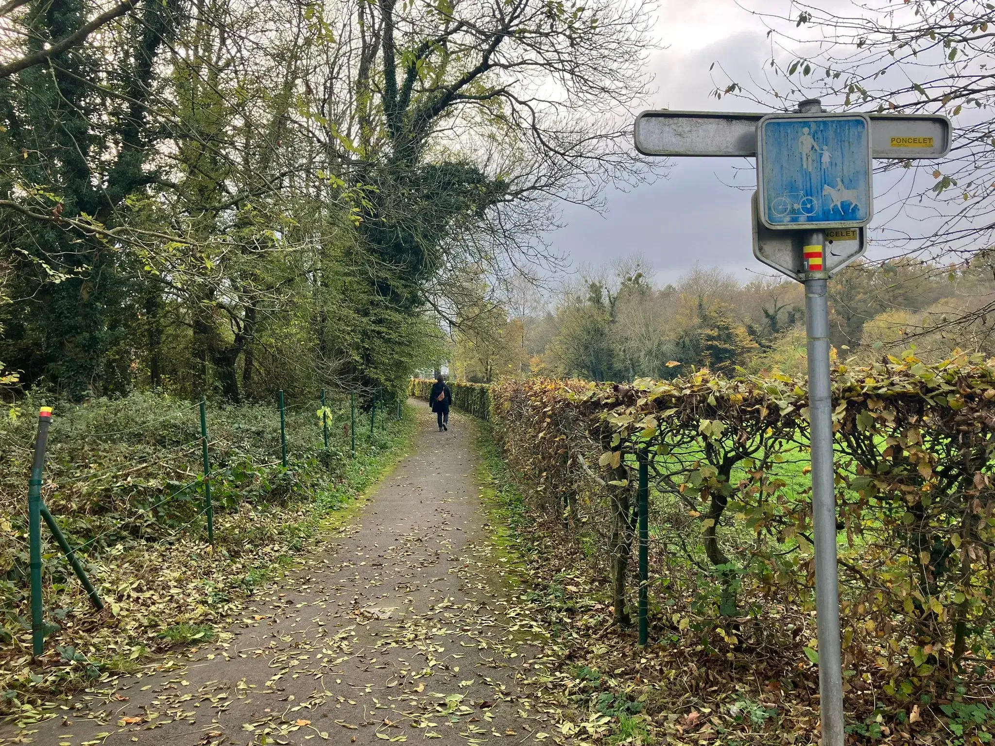 Wandeling afbeelding