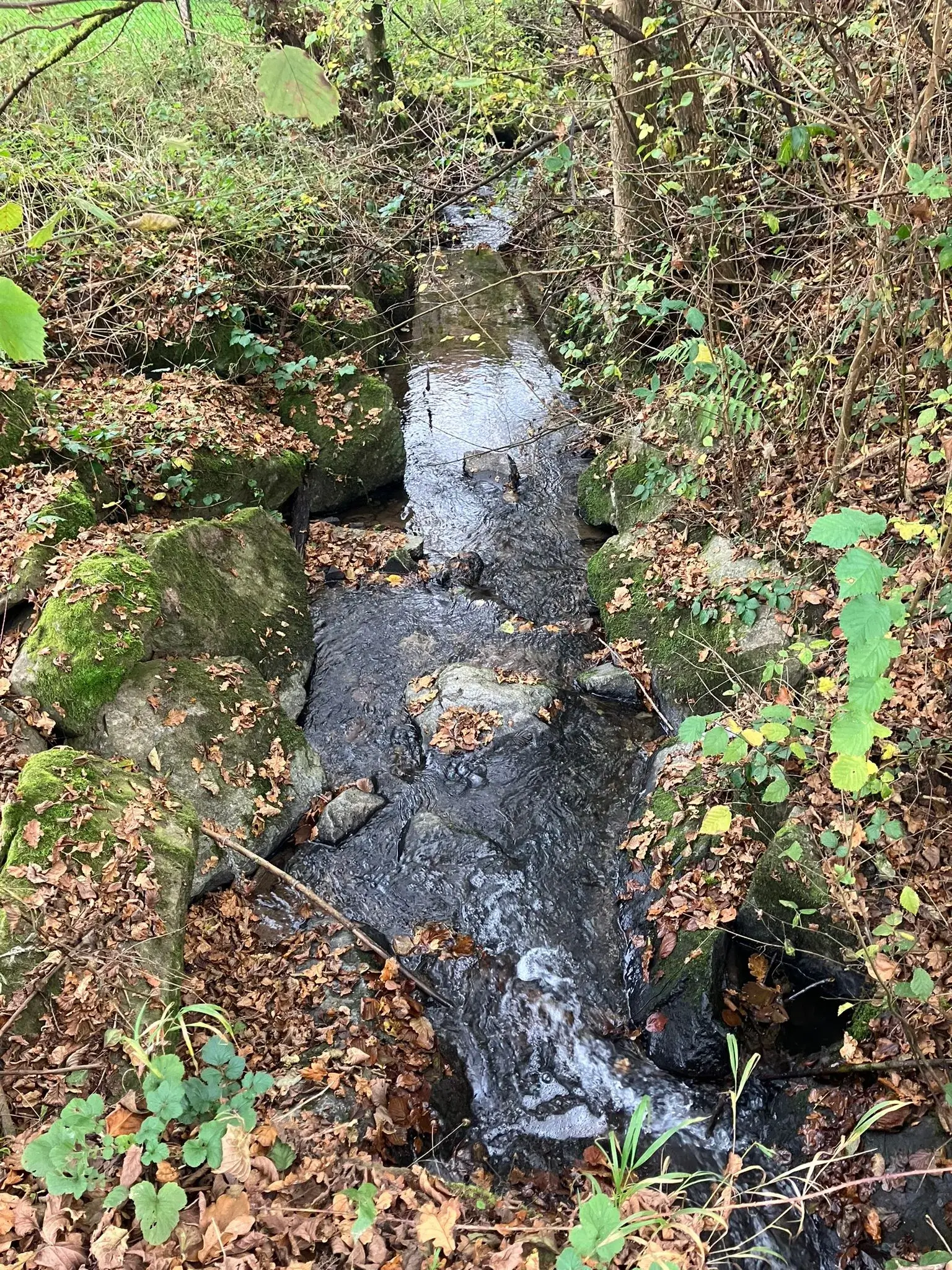 Wandeling afbeelding
