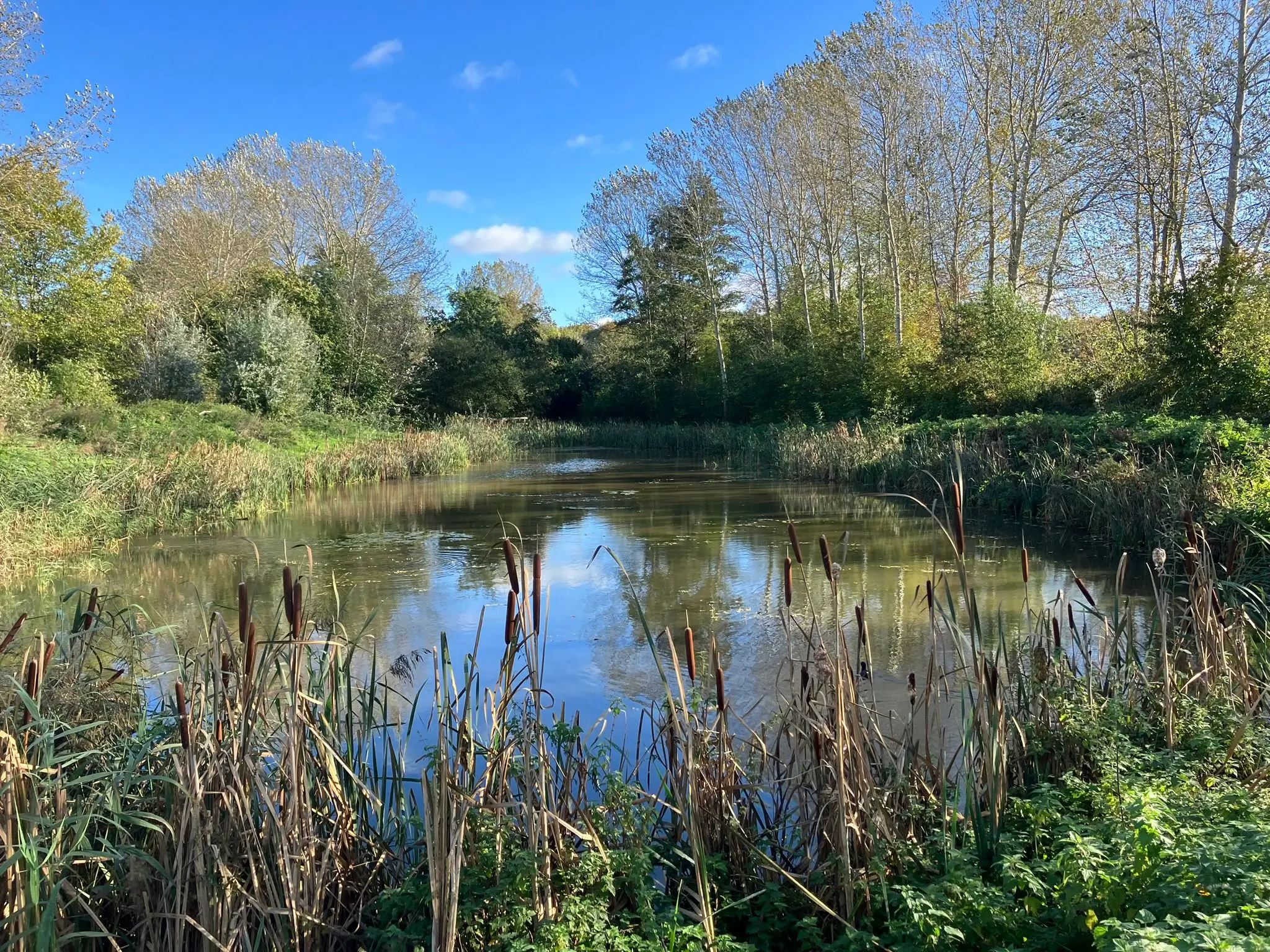 Wandeling afbeelding