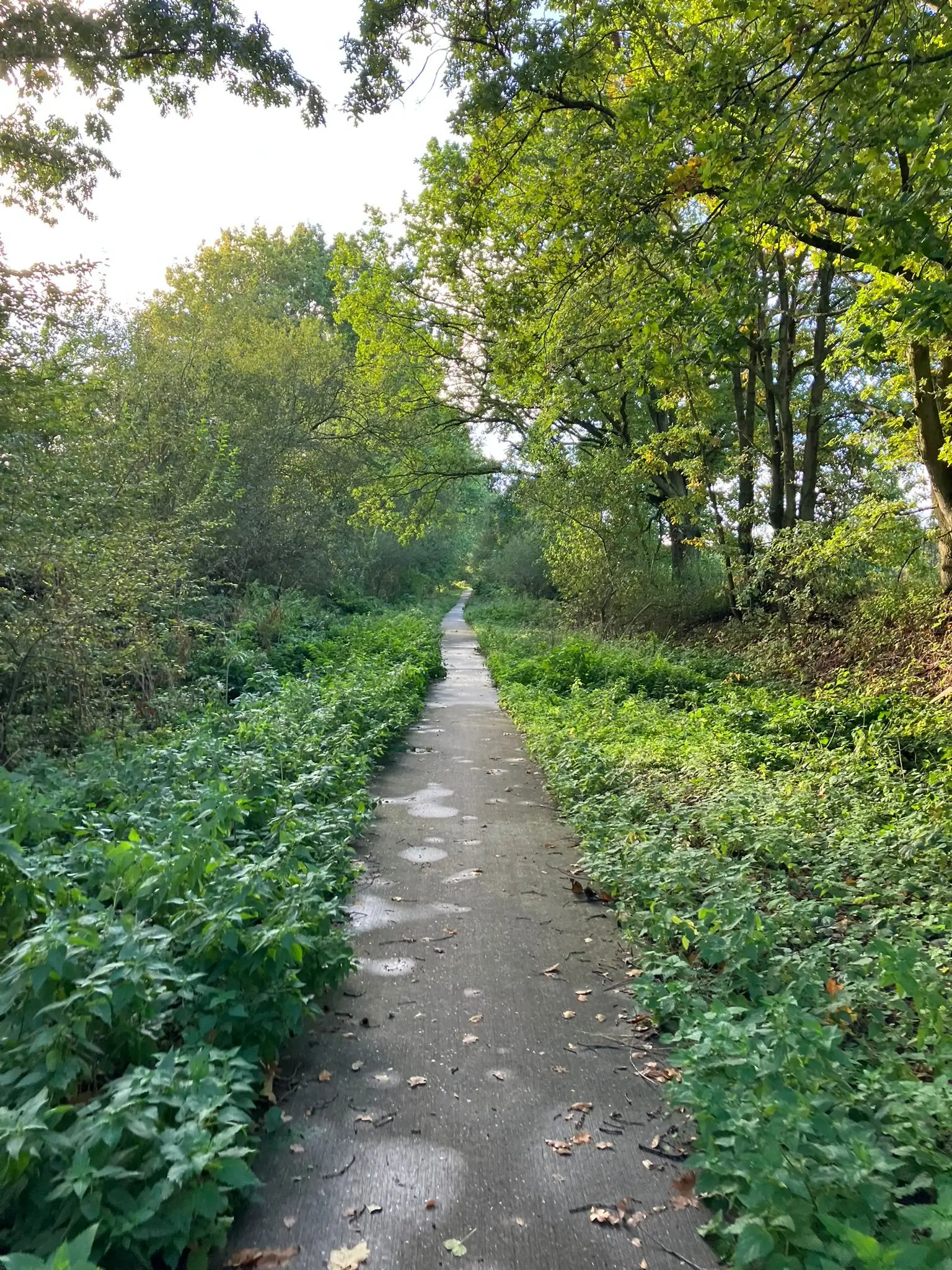 Wandeling afbeelding