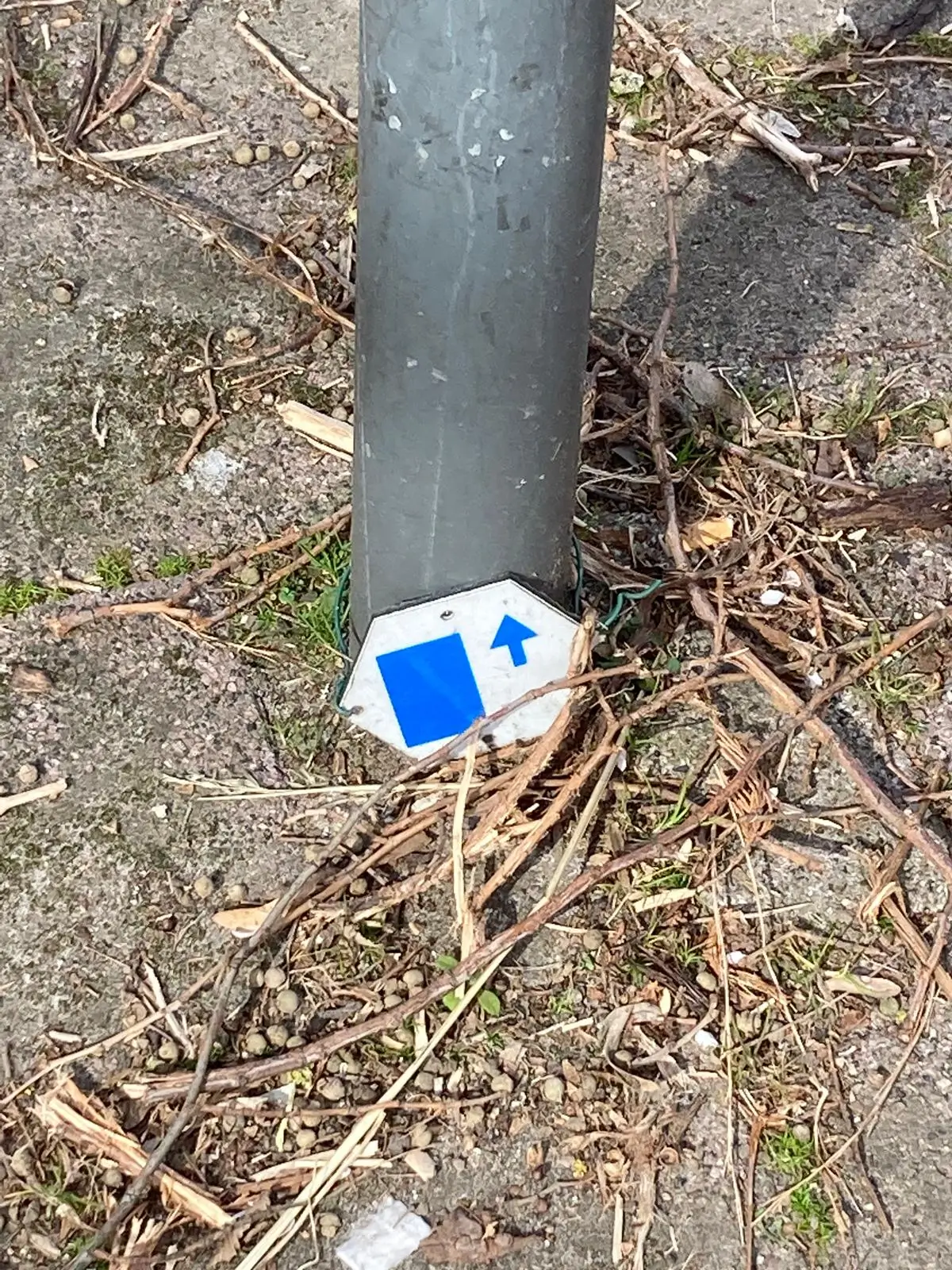 Wandeling afbeelding