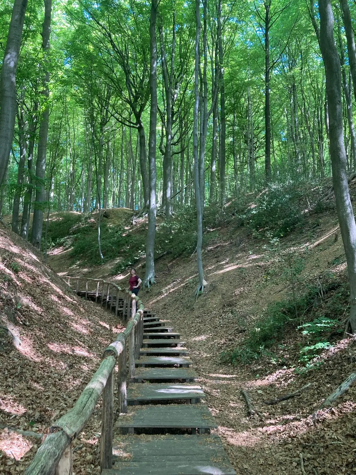 Wandeling afbeelding
