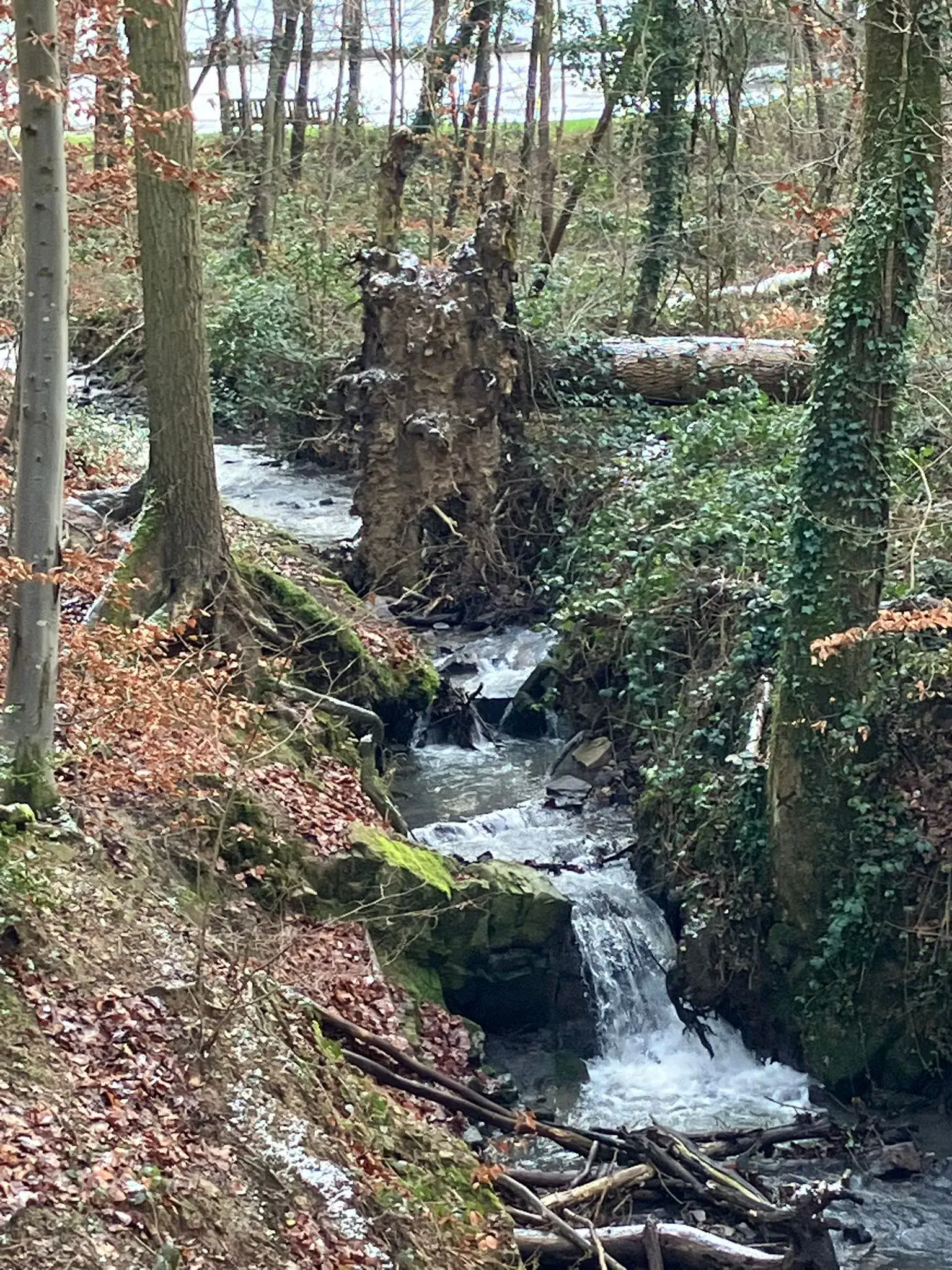 Wandeling afbeelding