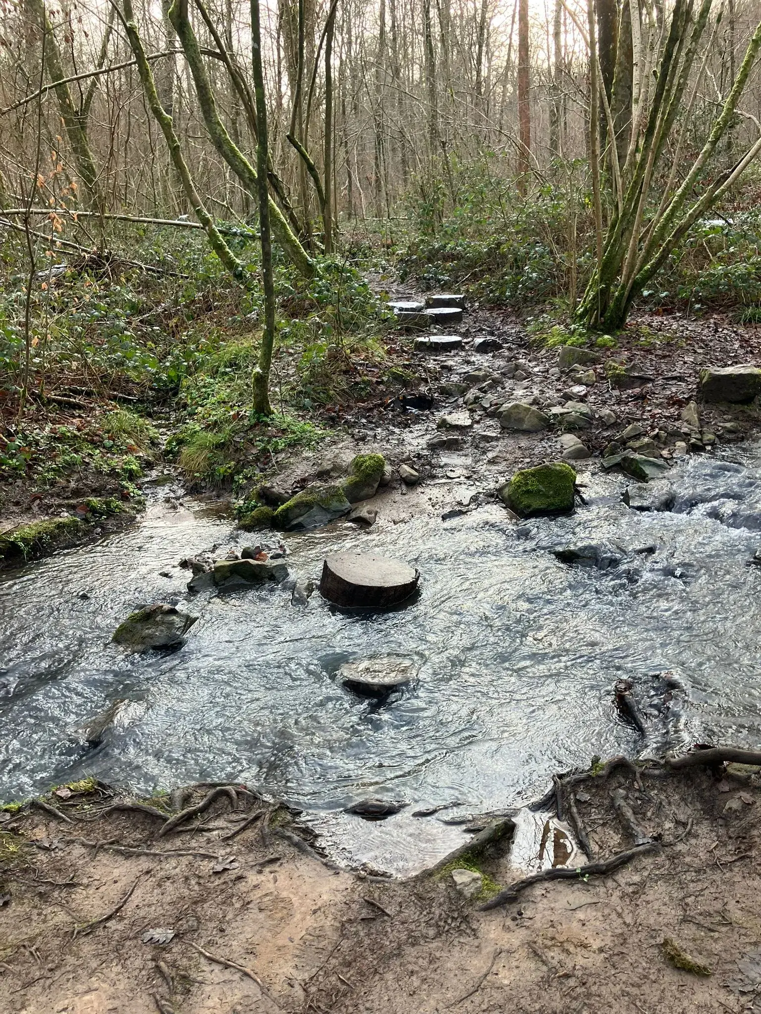 Wandeling afbeelding