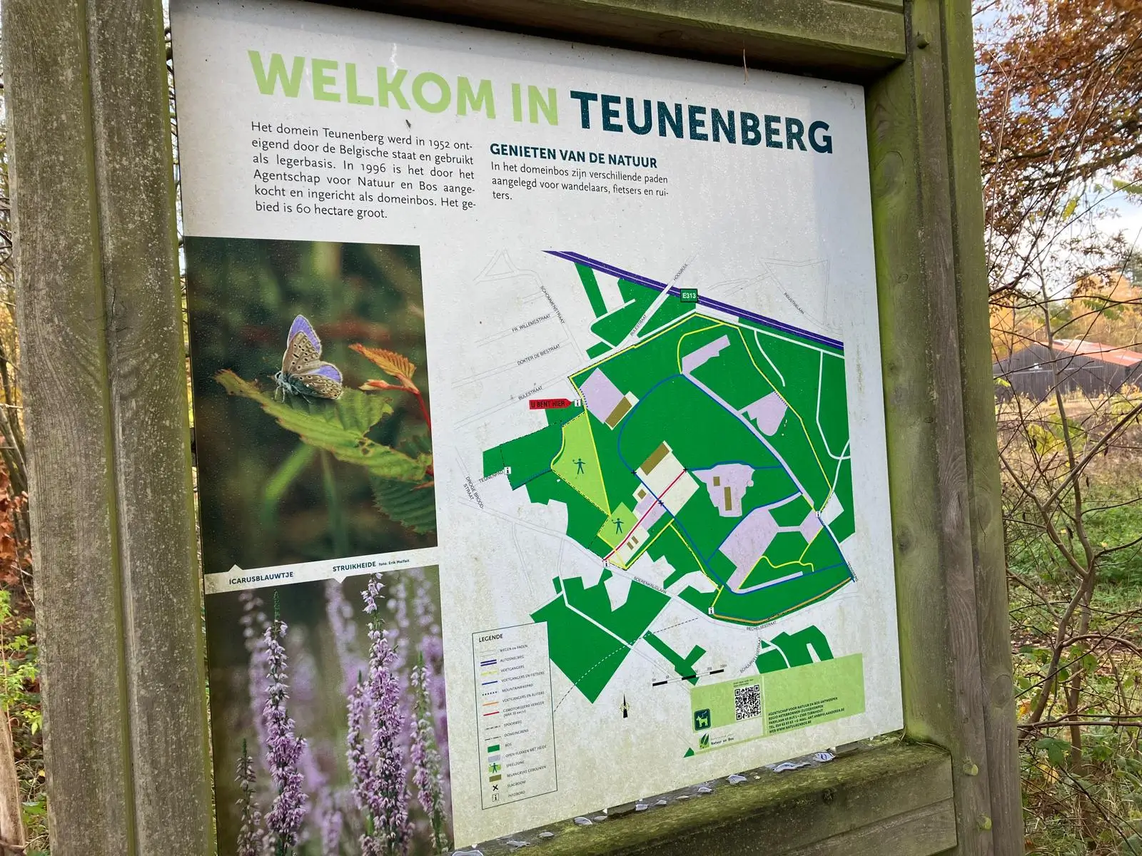 Wandeling afbeelding