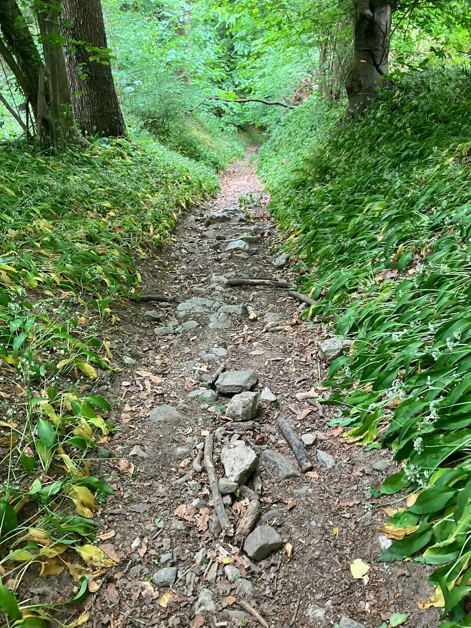 Wandeling afbeelding