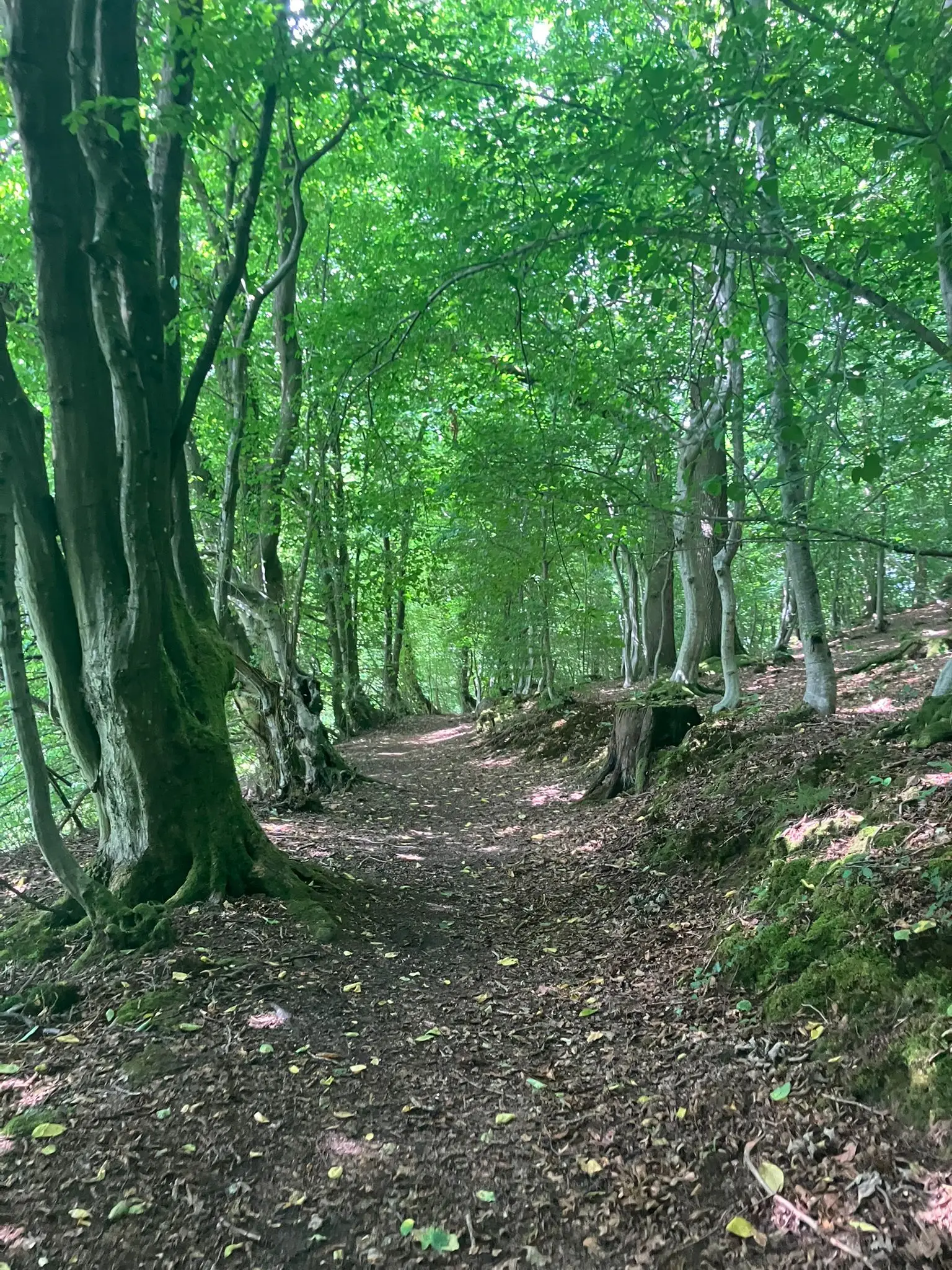 Wandeling afbeelding