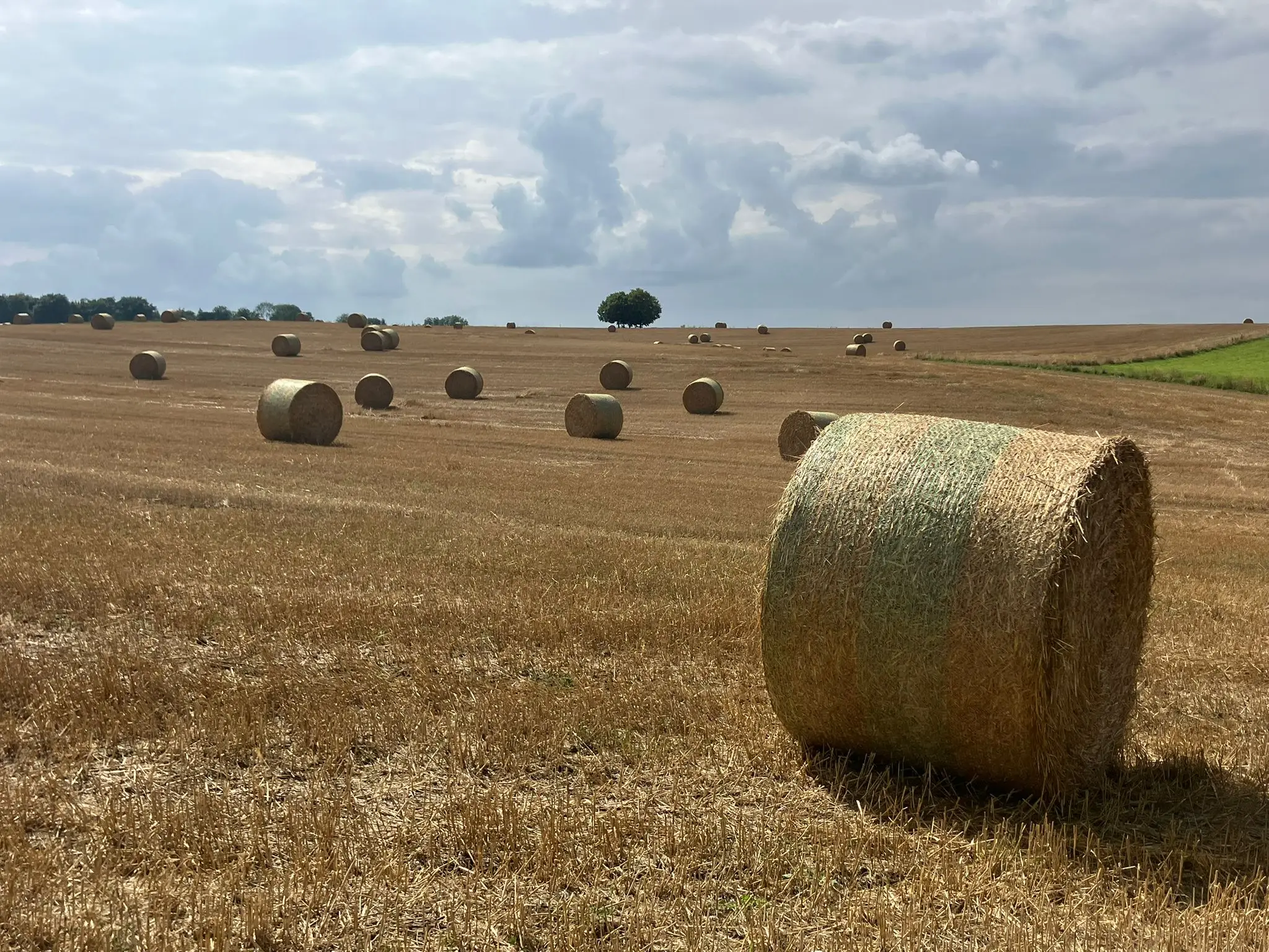 Wandeling afbeelding