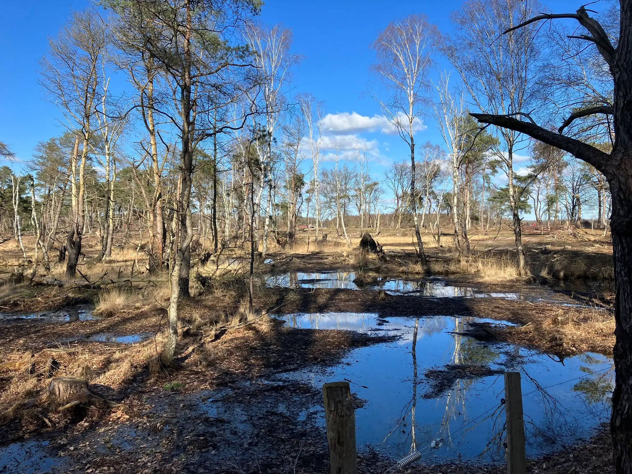 Wandeling afbeelding