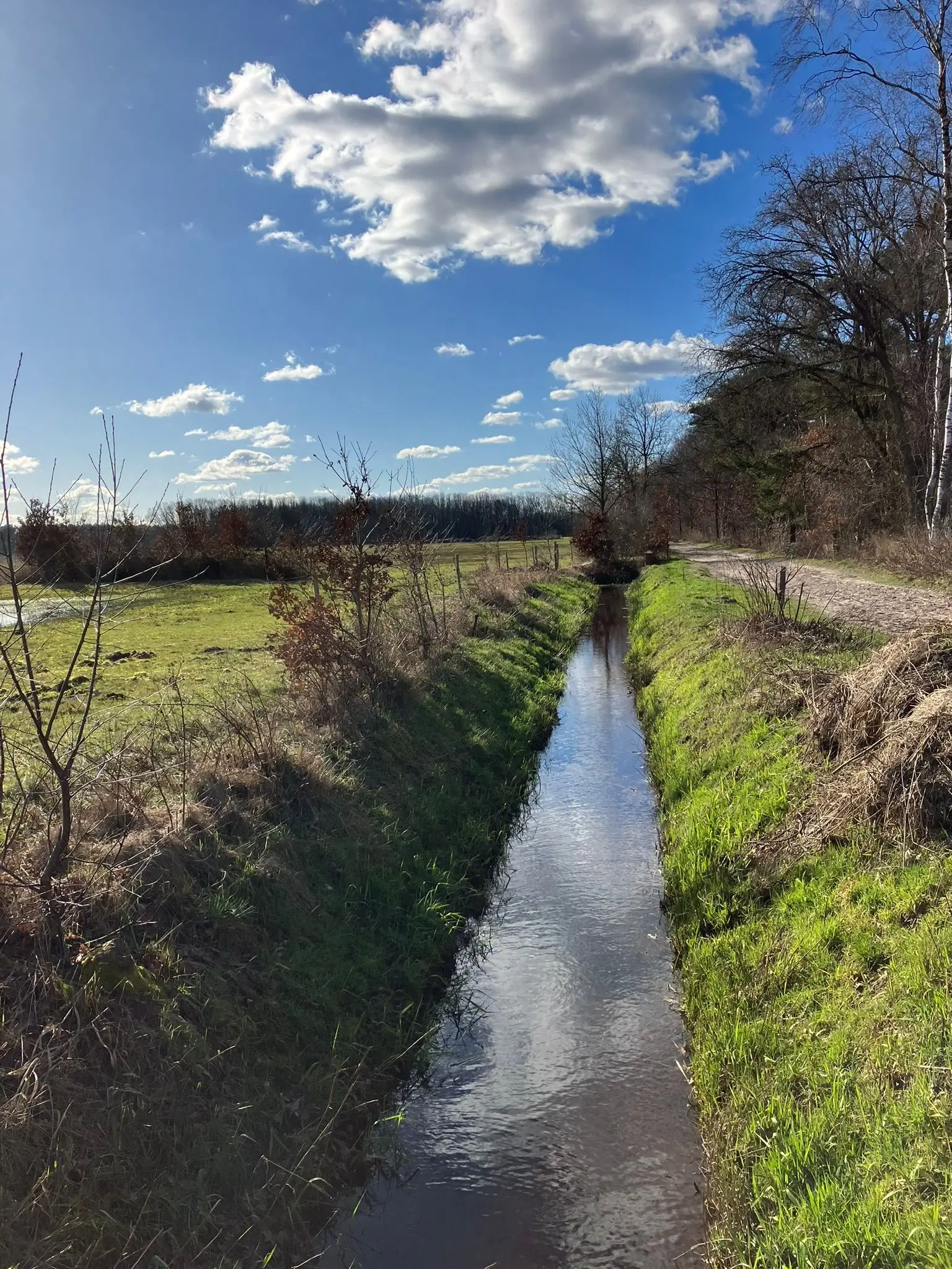 Wandeling afbeelding