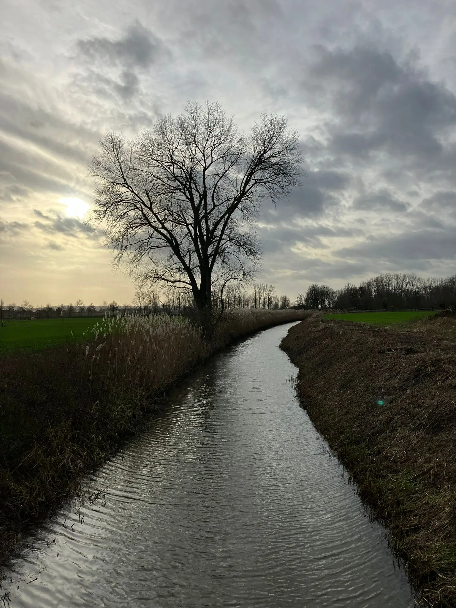 Wandeling afbeelding