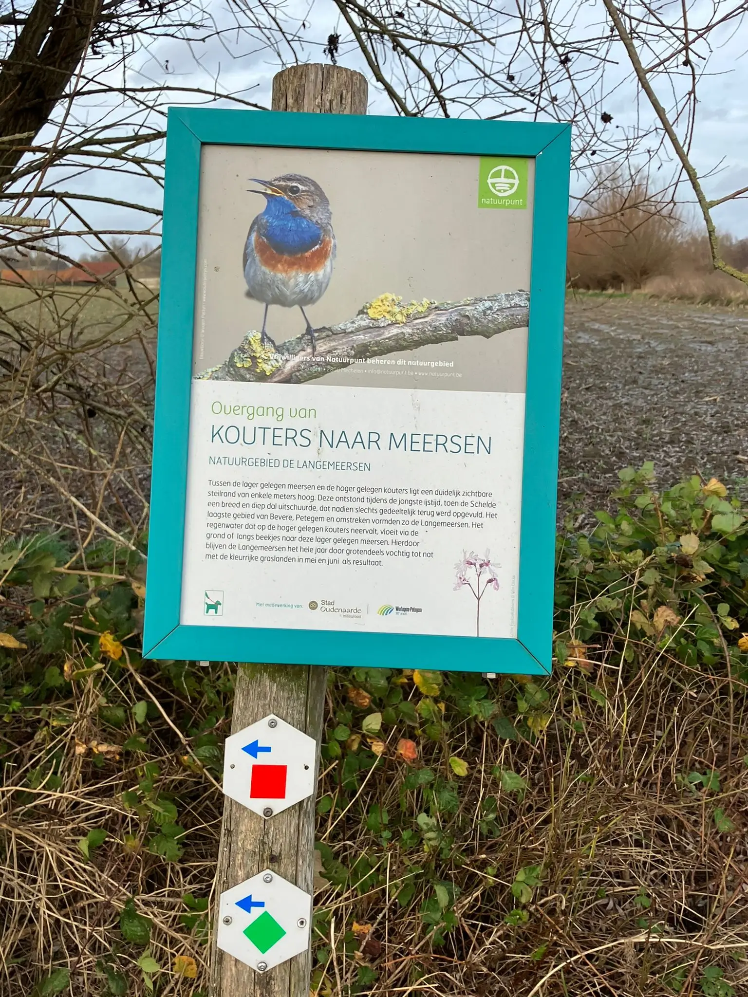 Wandeling afbeelding