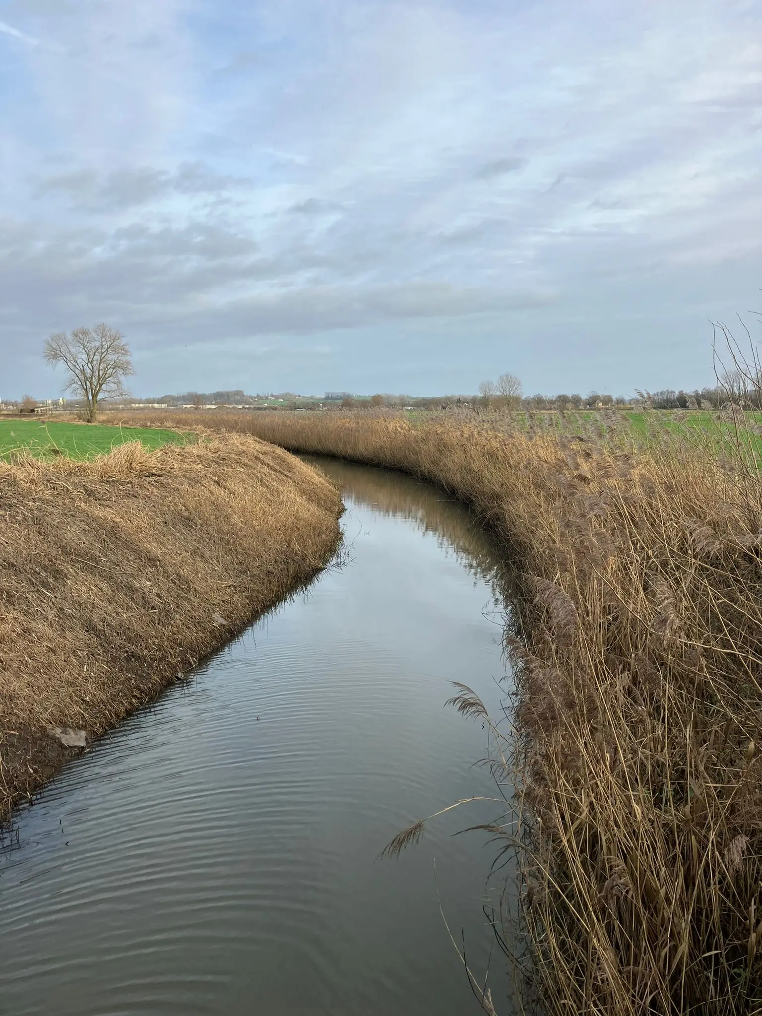 Wandeling afbeelding