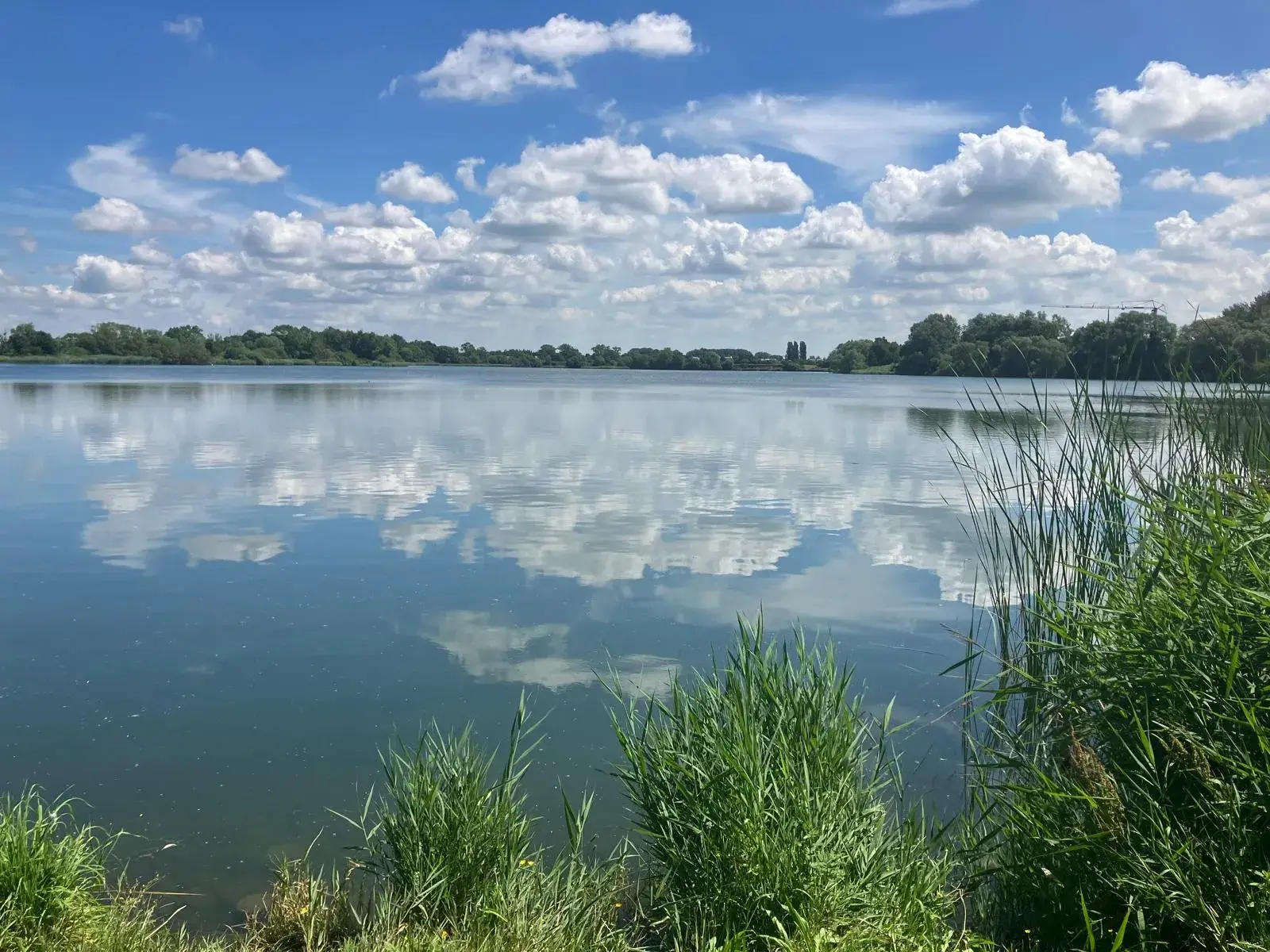 Wandeling afbeelding