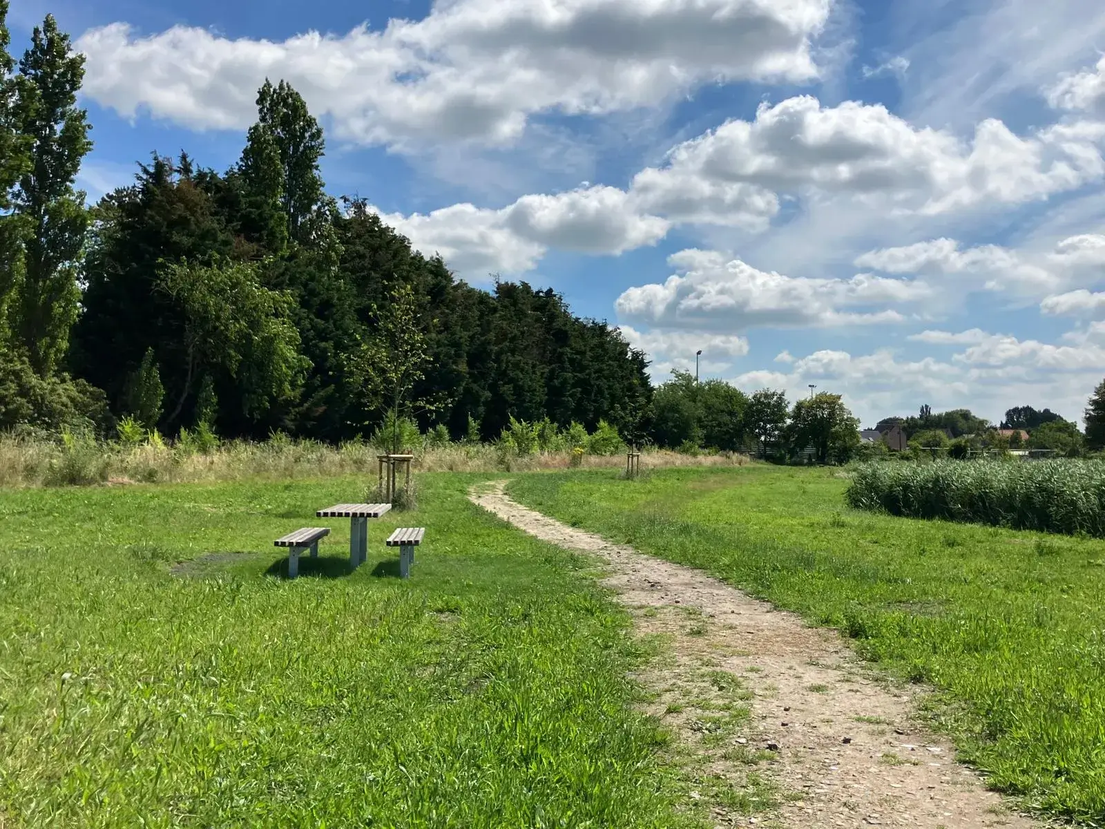 Wandeling afbeelding