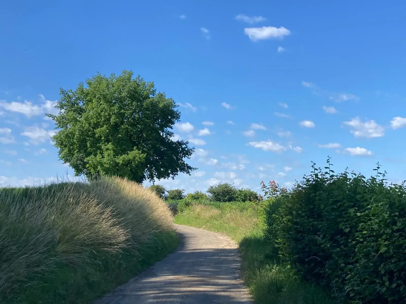 Wandeling afbeelding