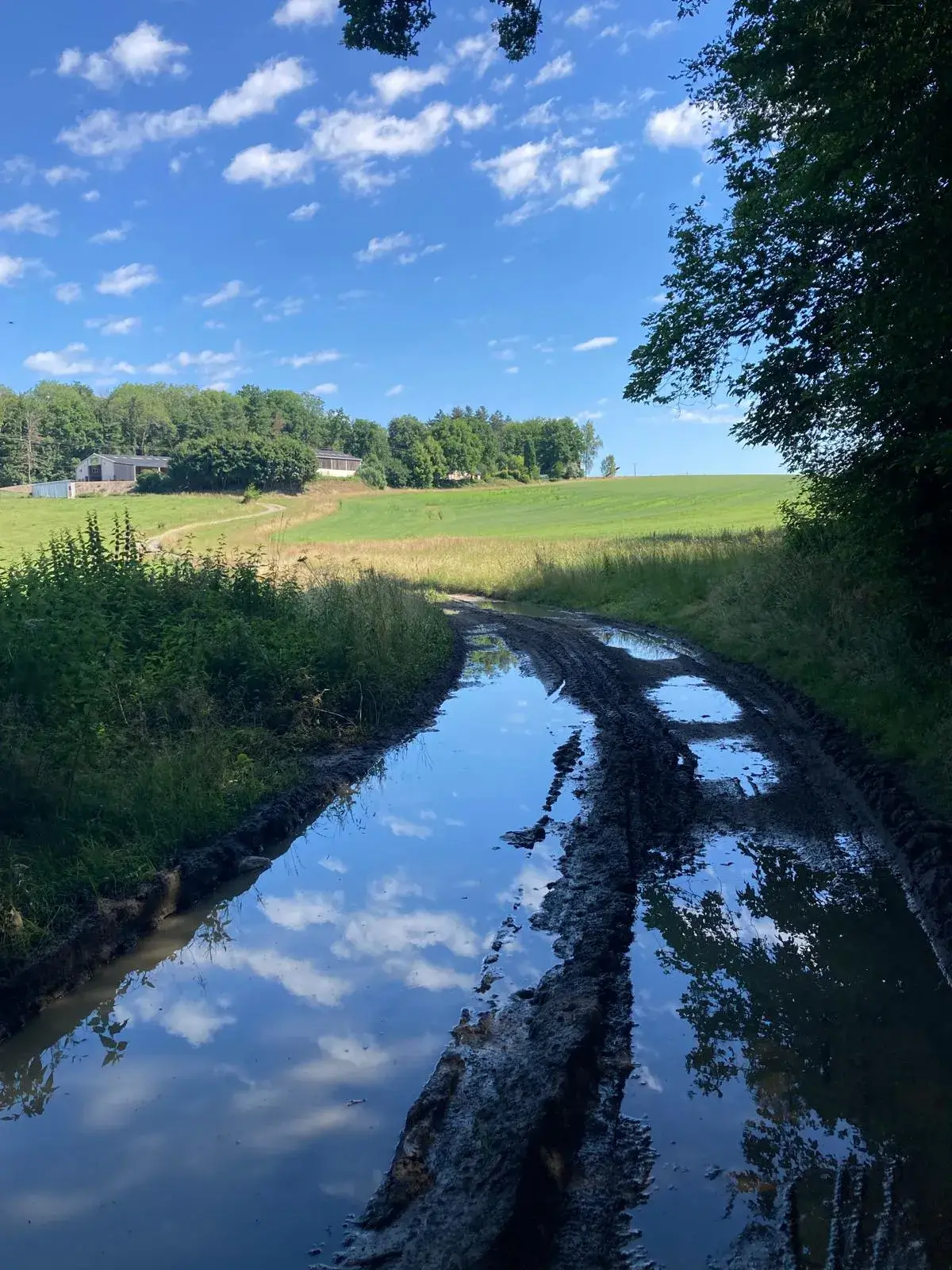 Wandeling afbeelding