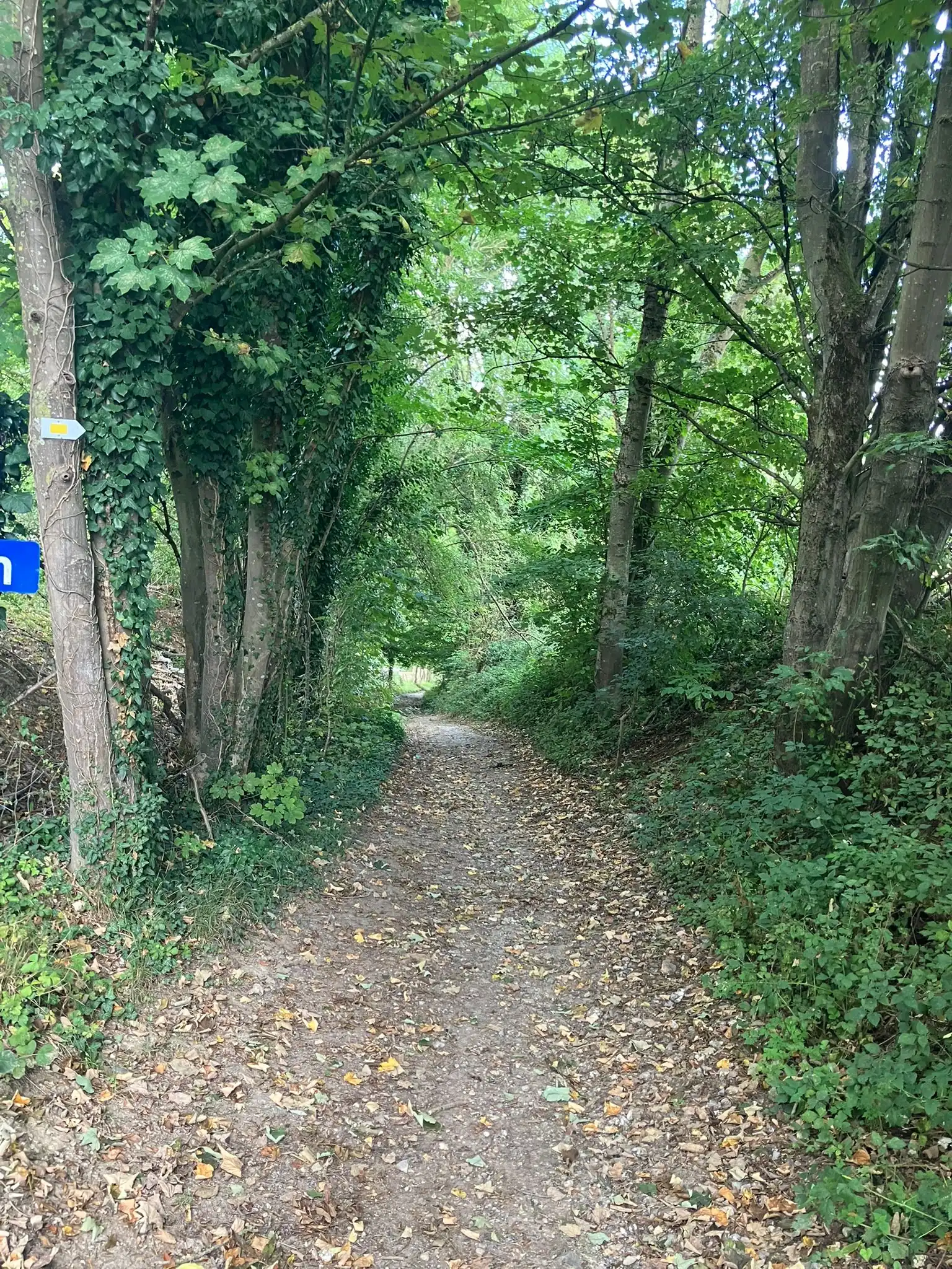 Wandeling afbeelding