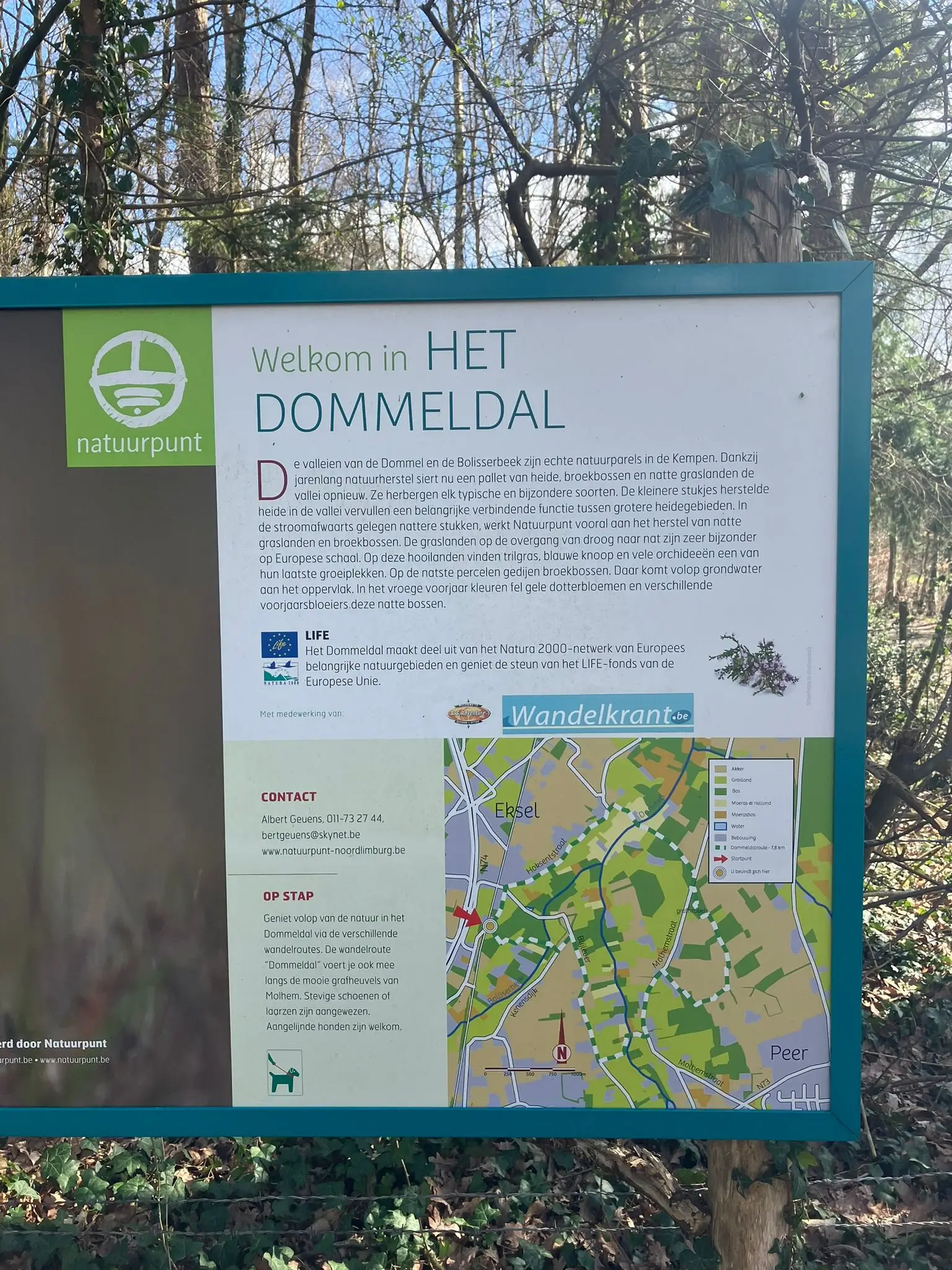 Wandeling afbeelding