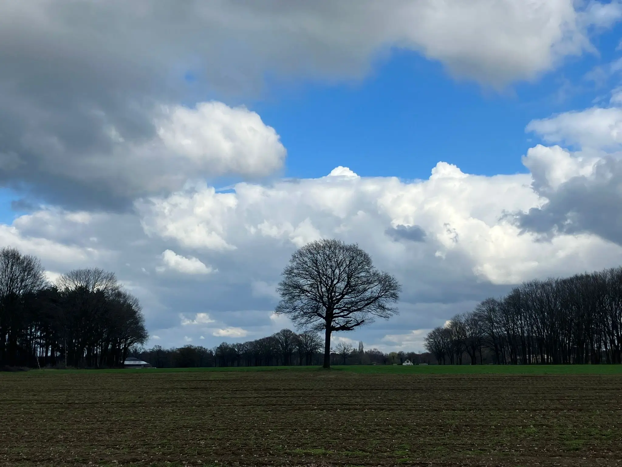 Wandeling afbeelding