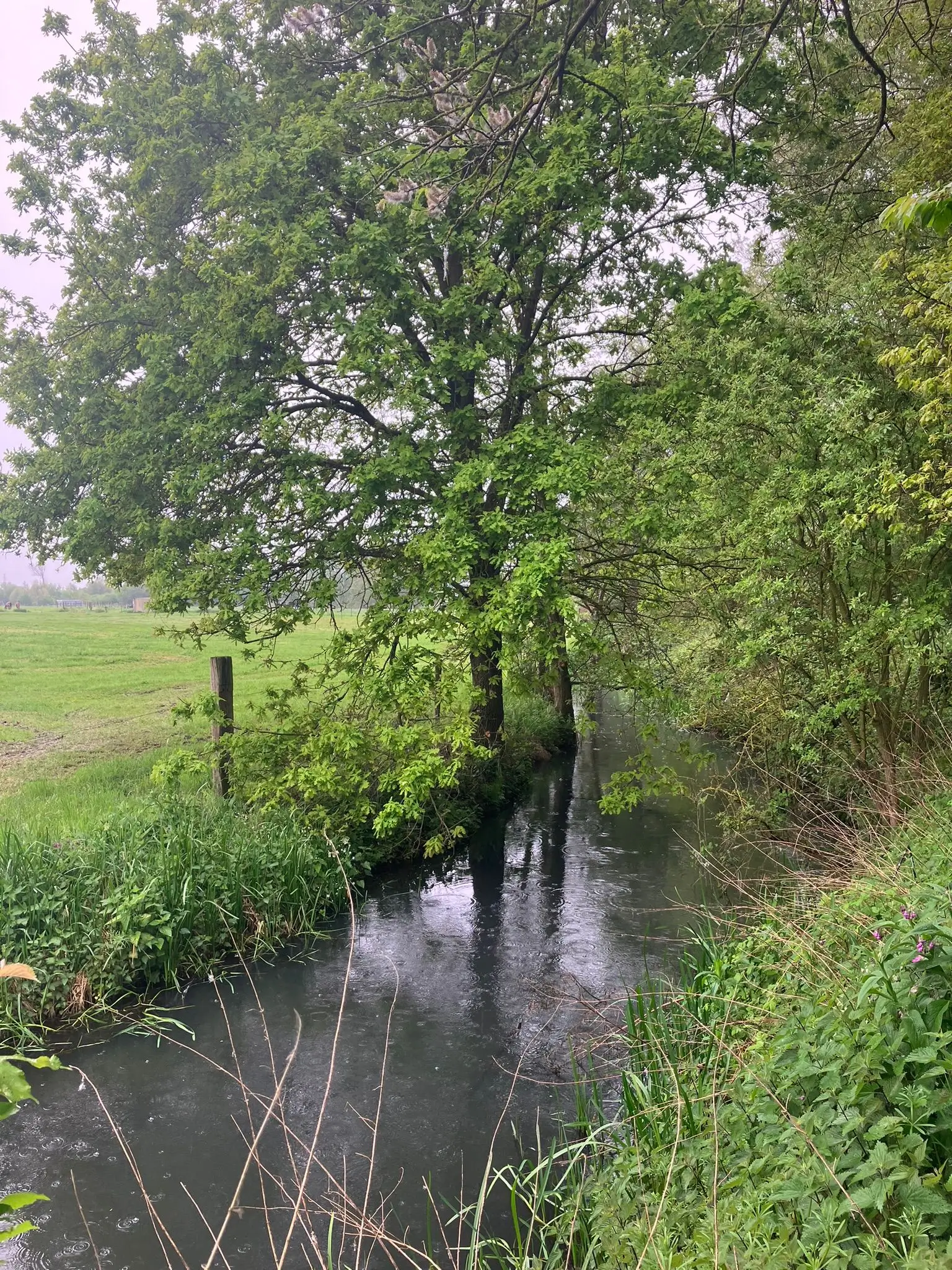 Wandeling afbeelding