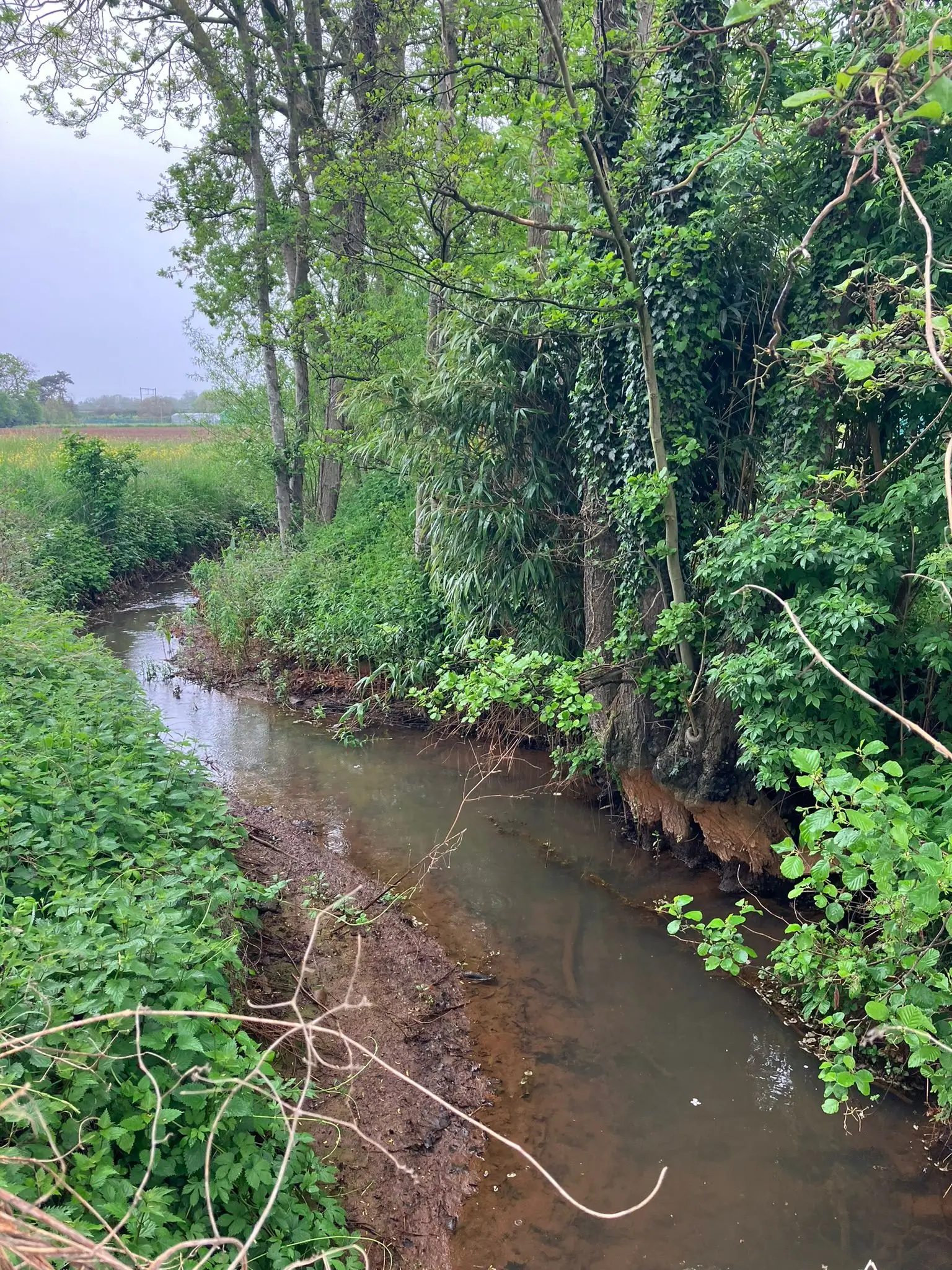 Wandeling afbeelding