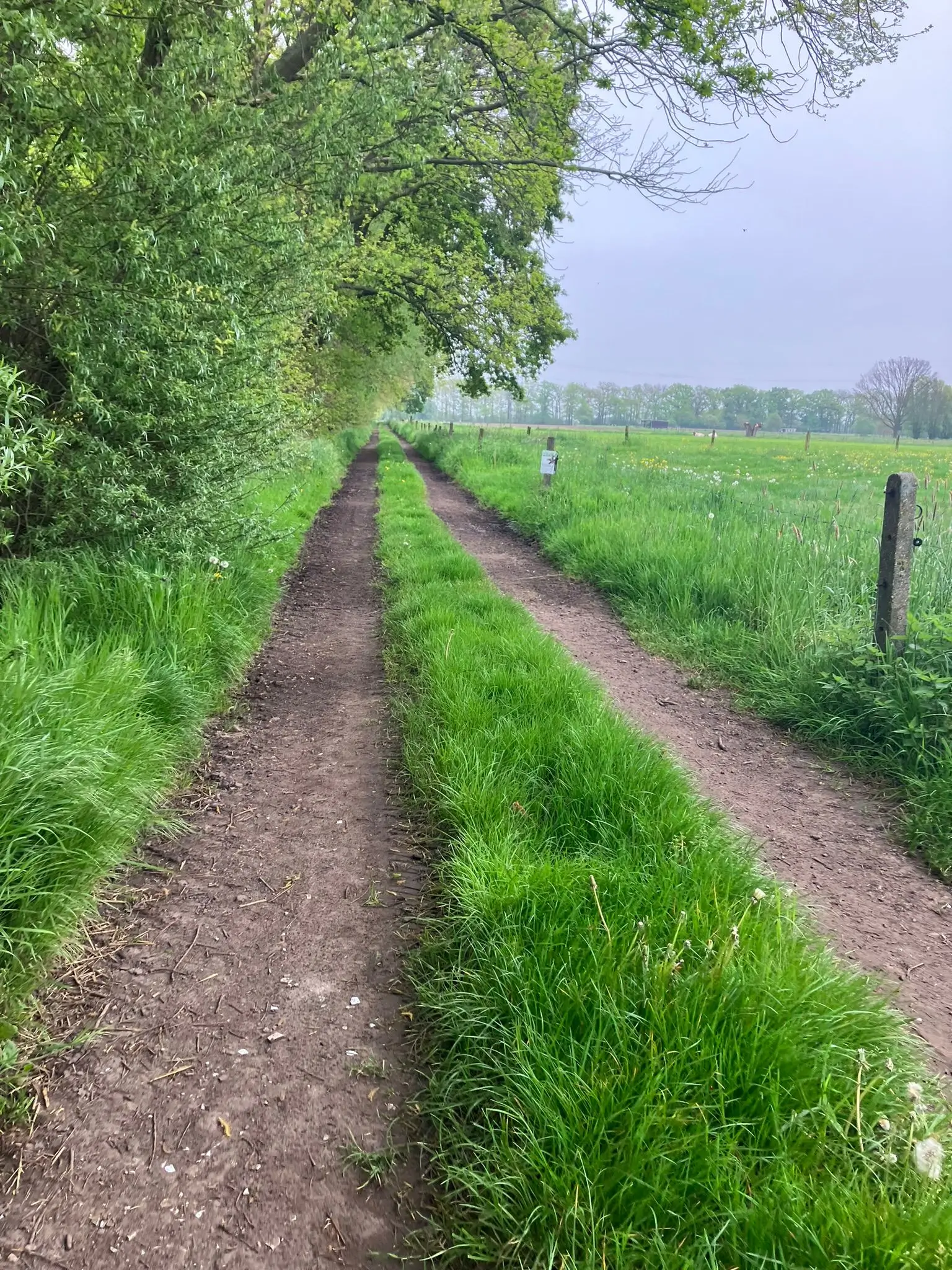 Wandeling afbeelding