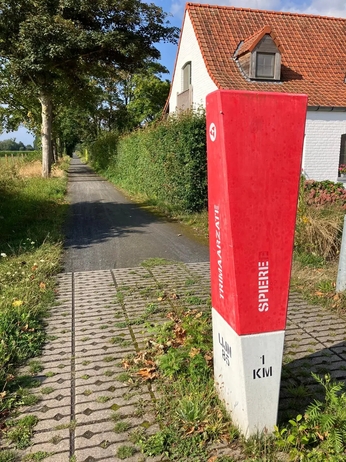 Wandeling afbeelding