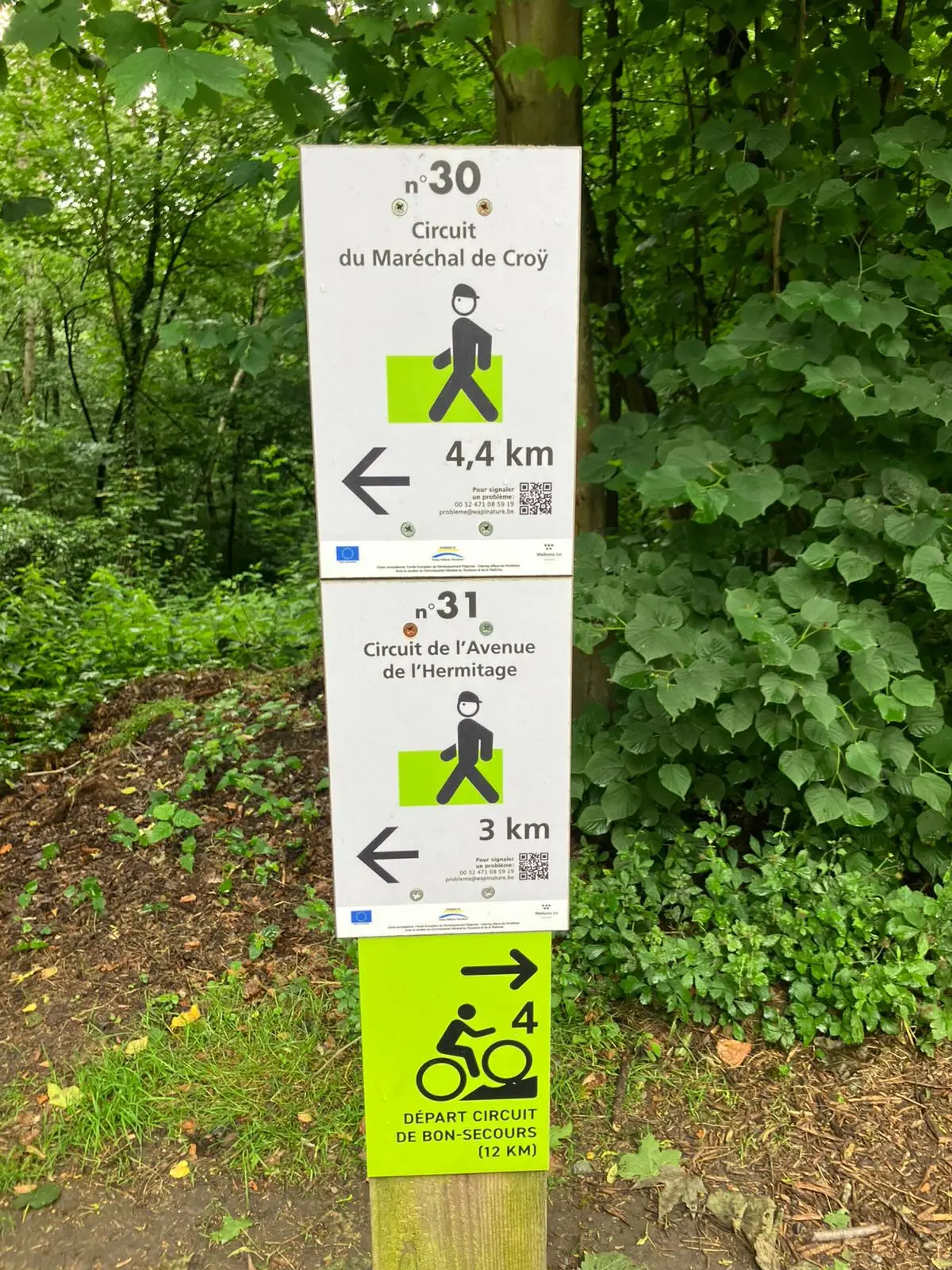 Wandeling afbeelding