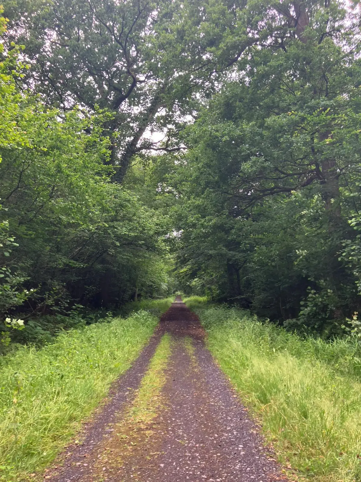 Wandeling afbeelding