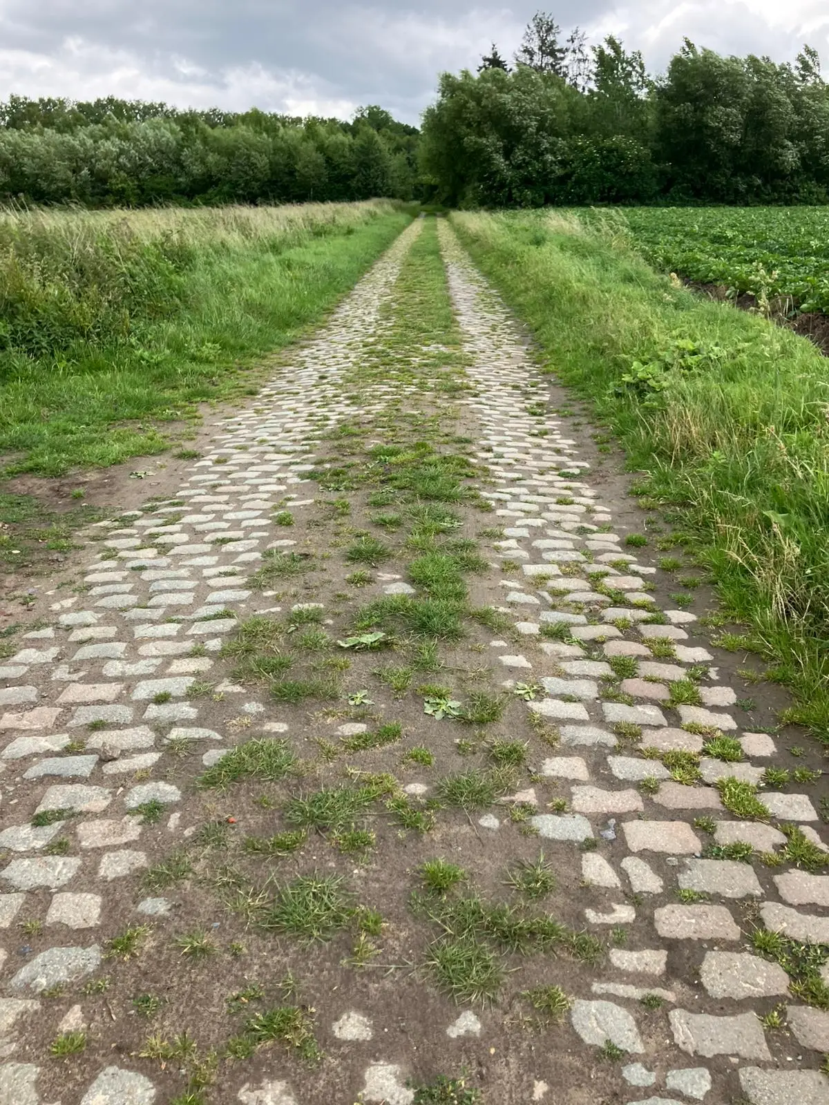 Wandeling afbeelding