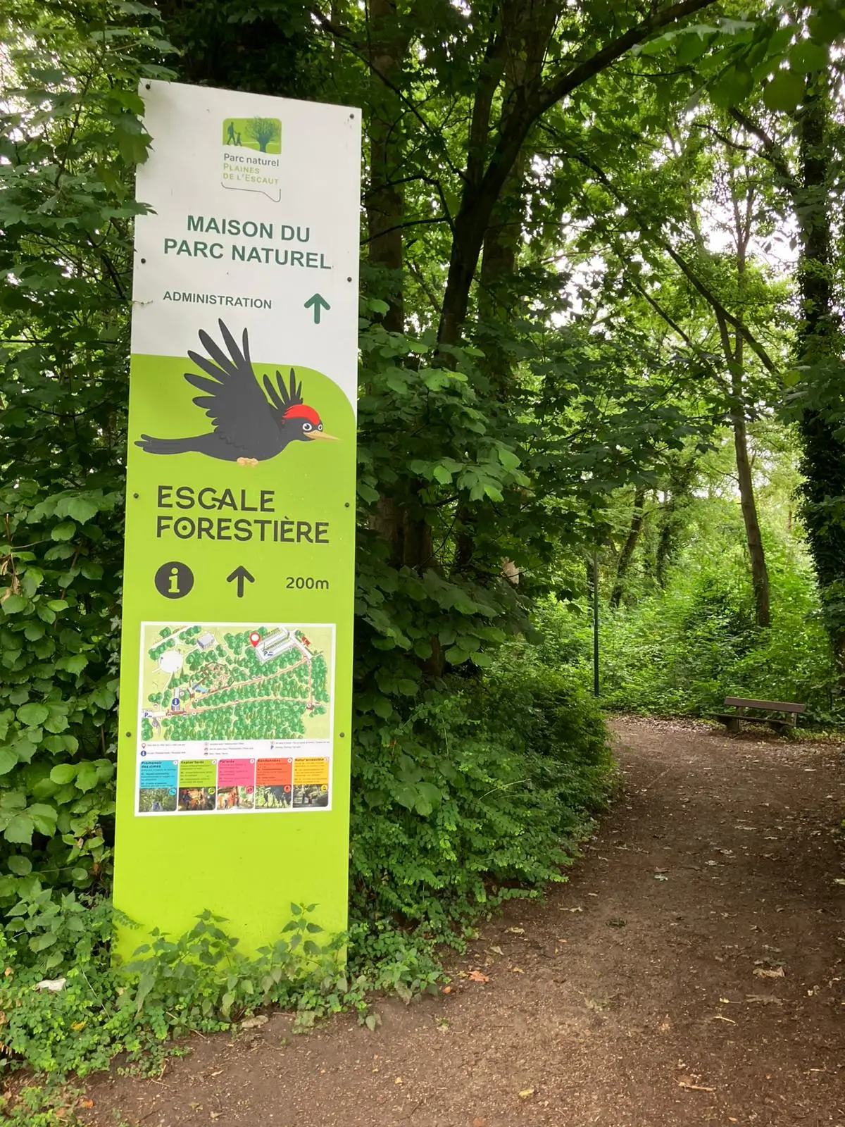 Wandeling afbeelding