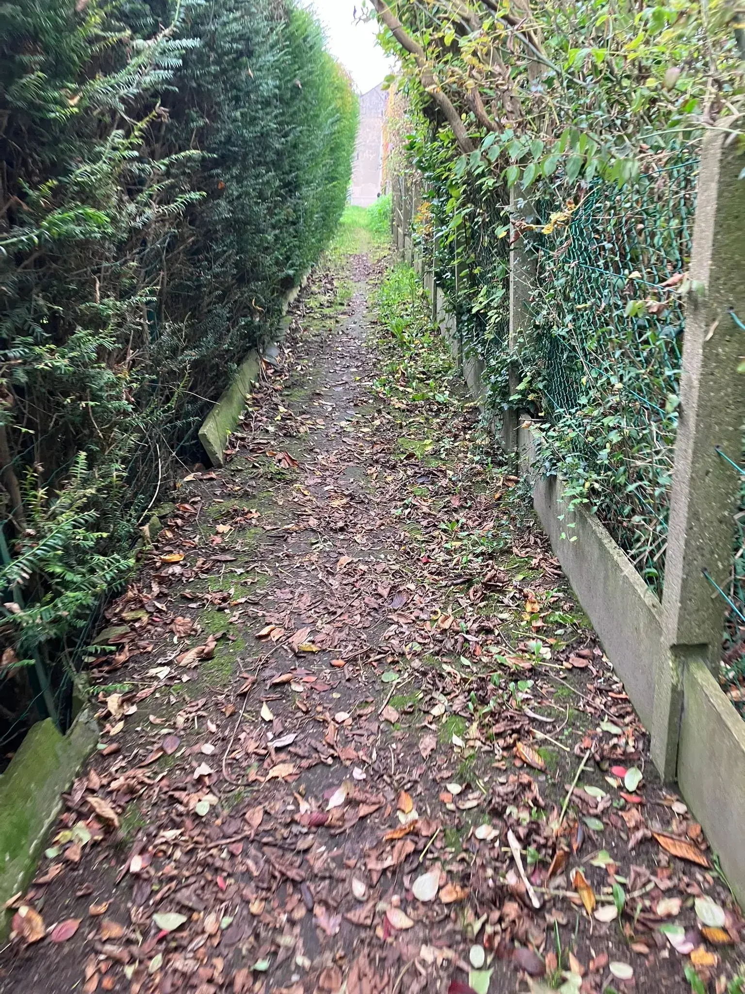 Wandeling afbeelding