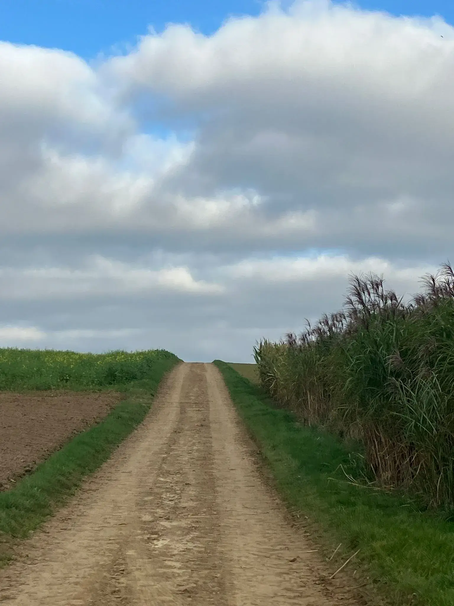 Wandeling afbeelding