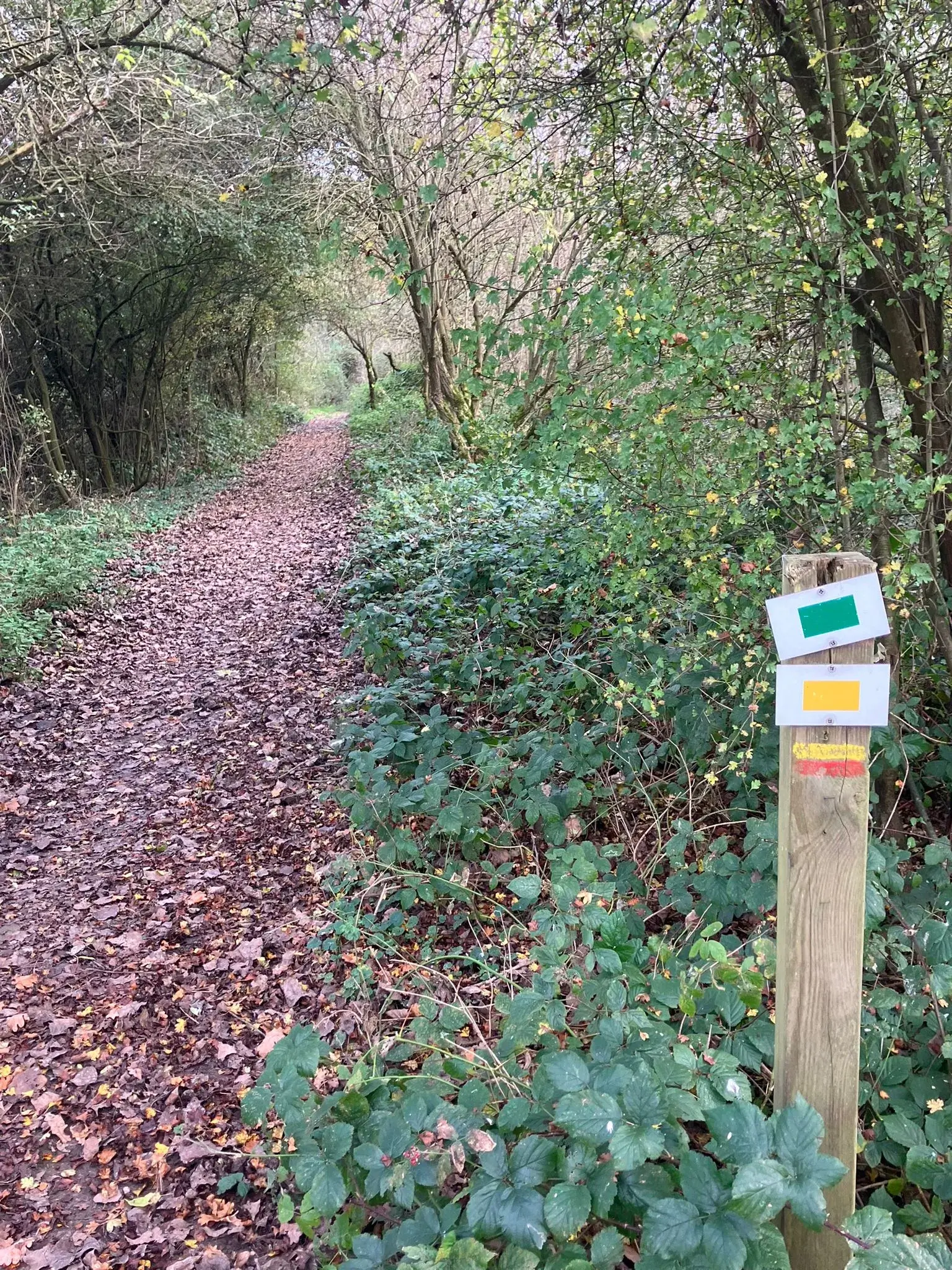 Wandeling afbeelding
