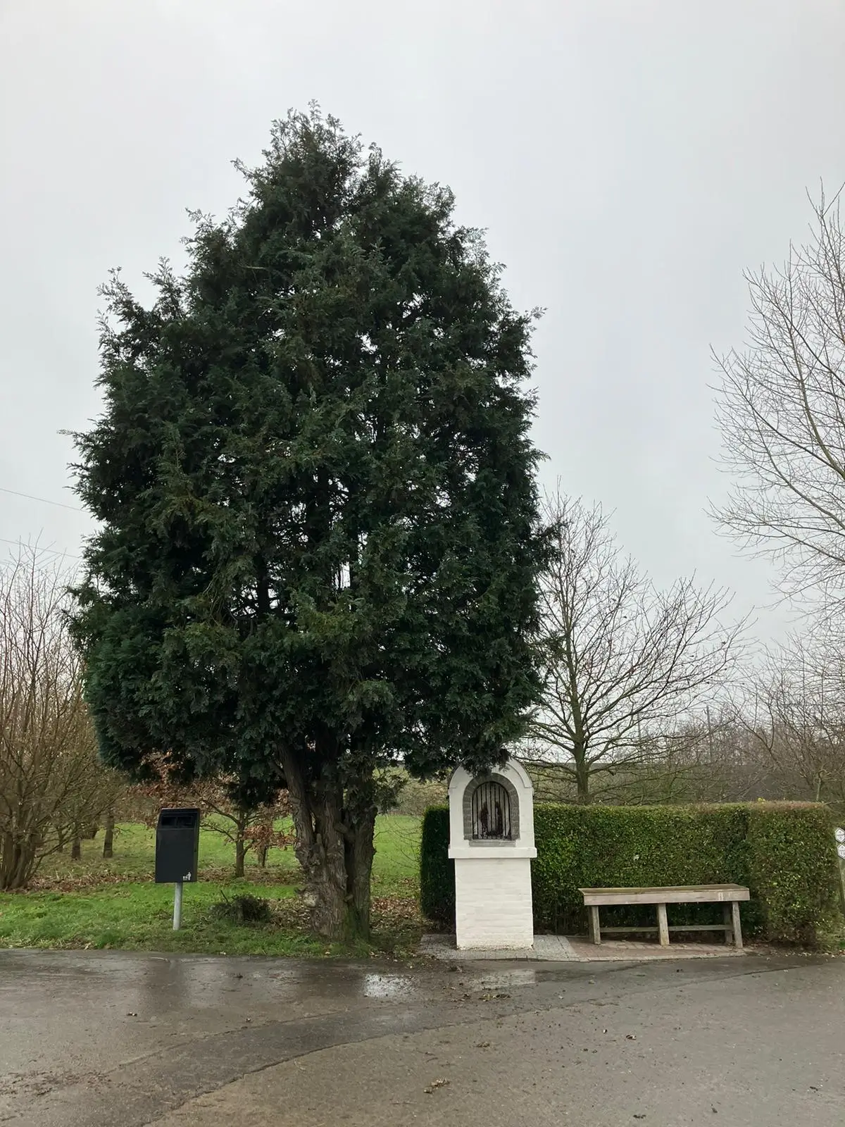 Wandeling afbeelding