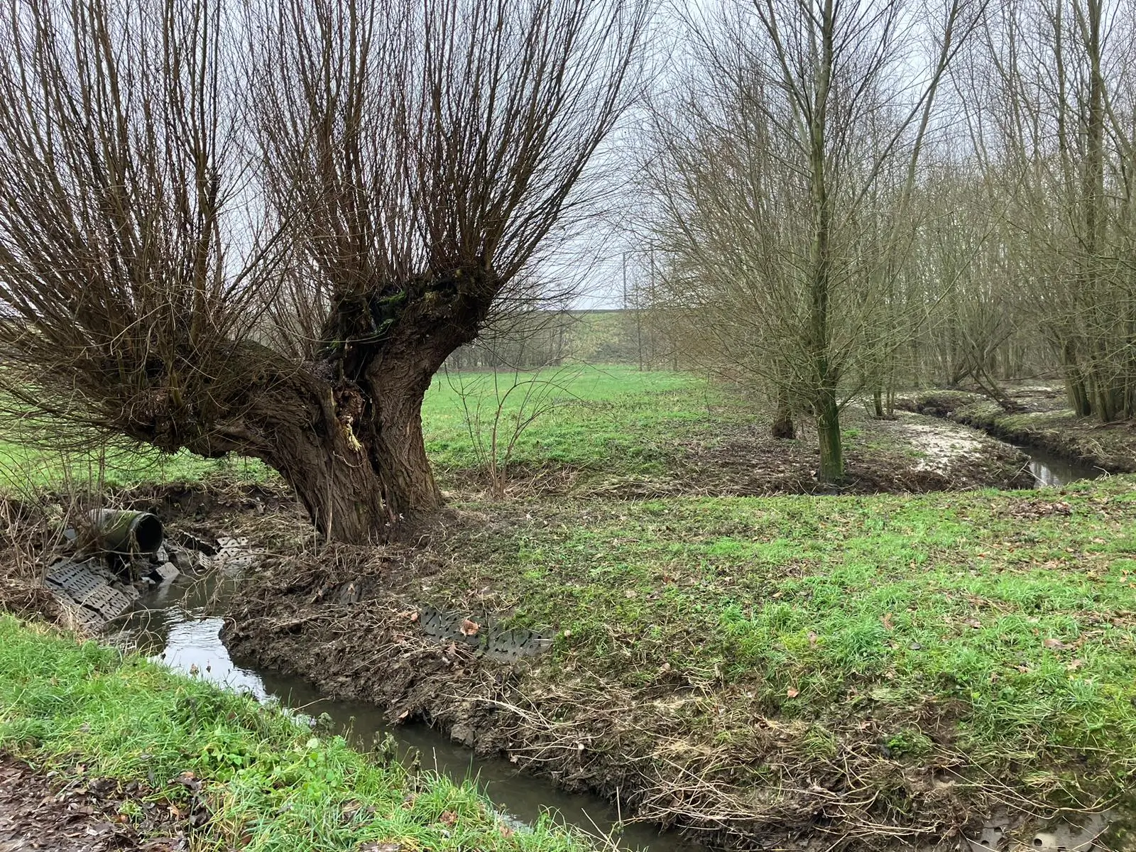 Wandeling afbeelding