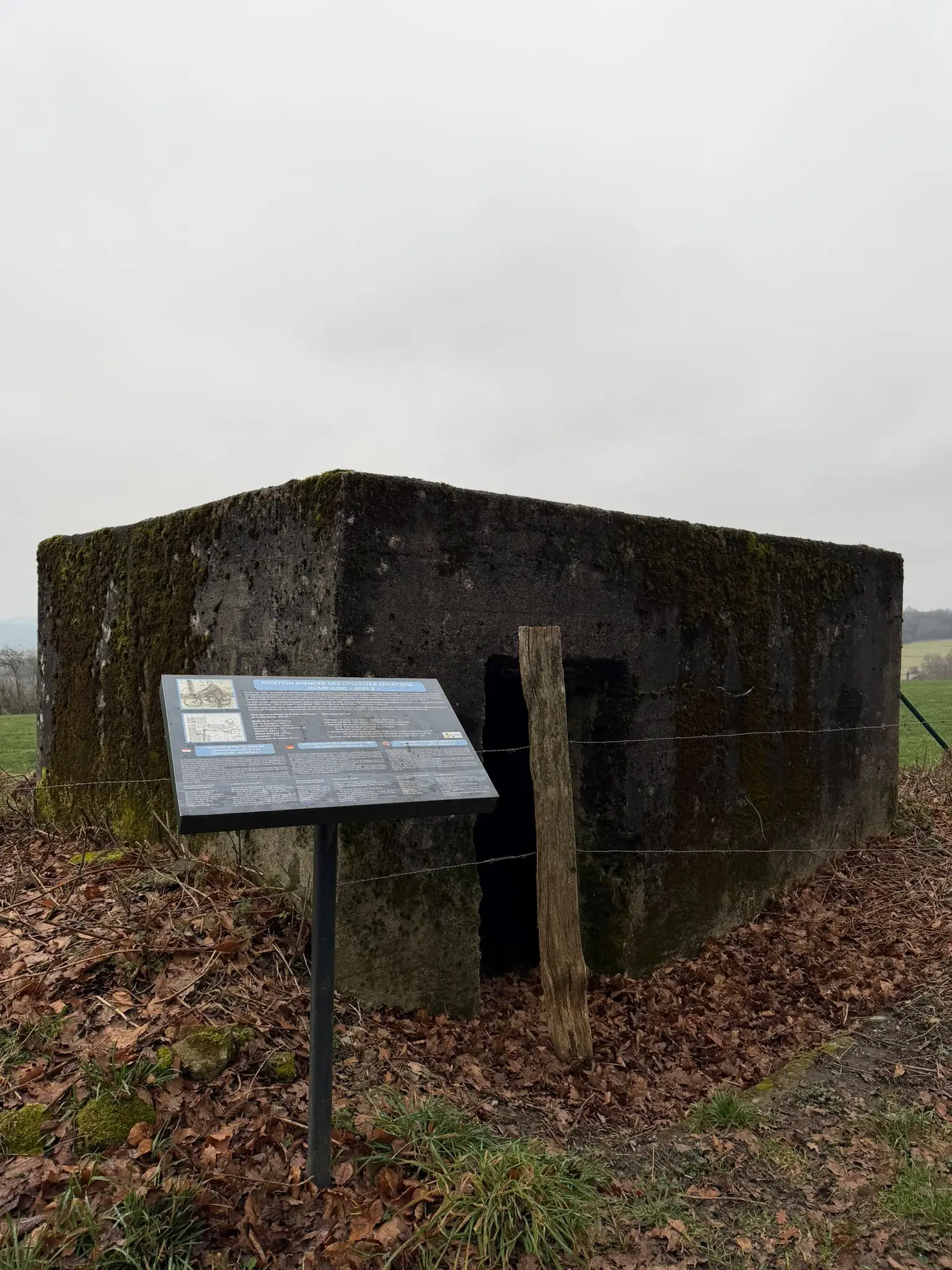 Wandeling afbeelding