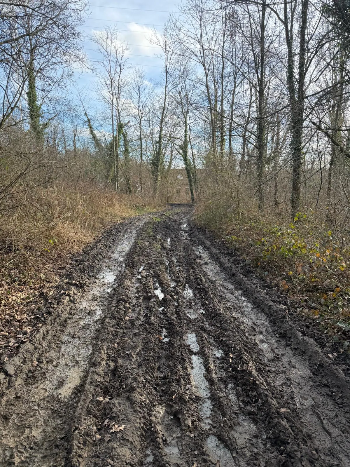 Wandeling afbeelding