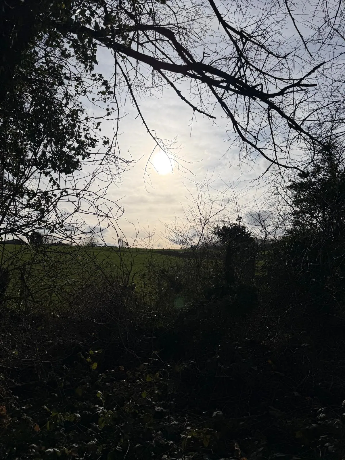 Wandeling afbeelding