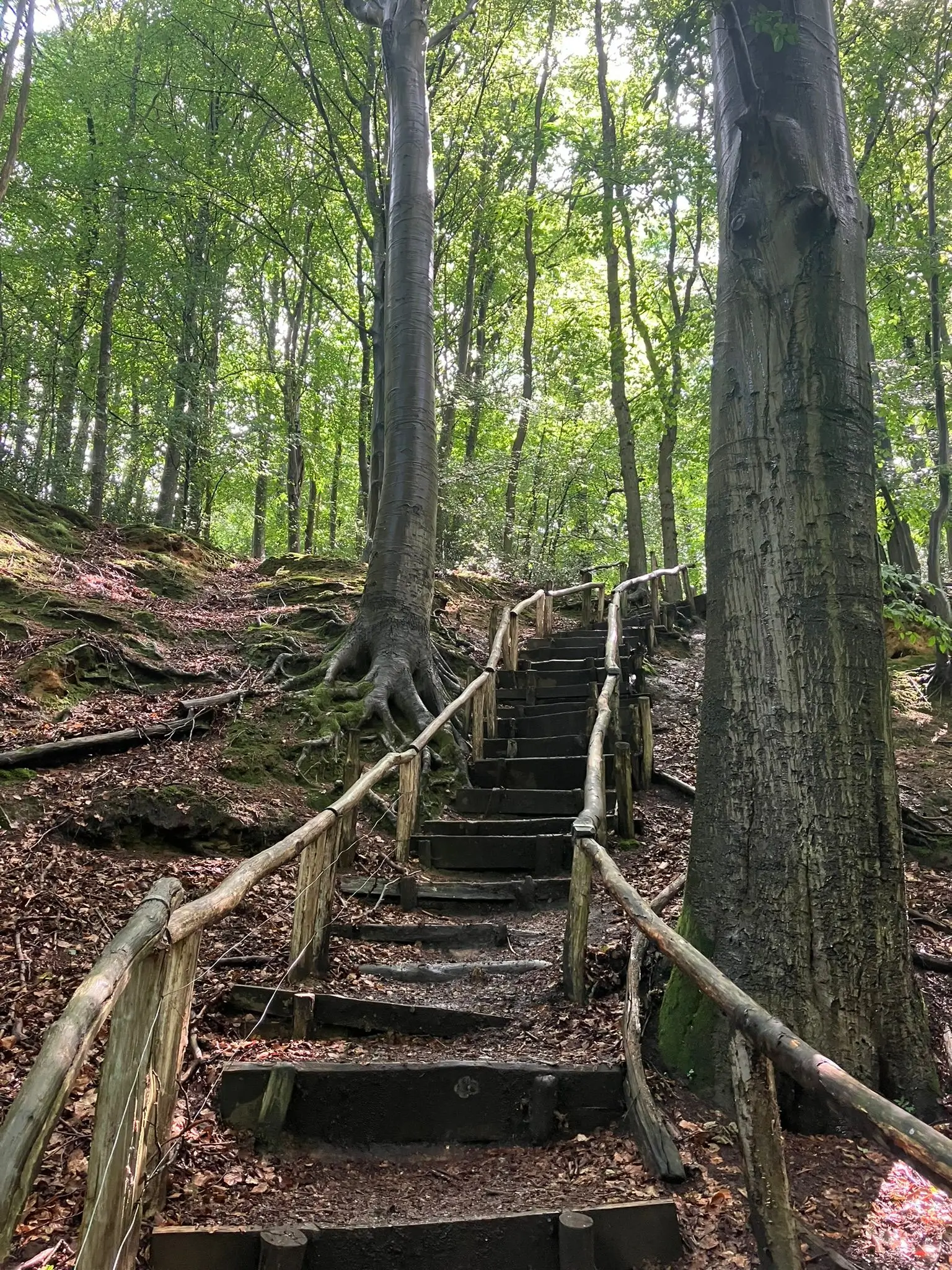Wandeling afbeelding