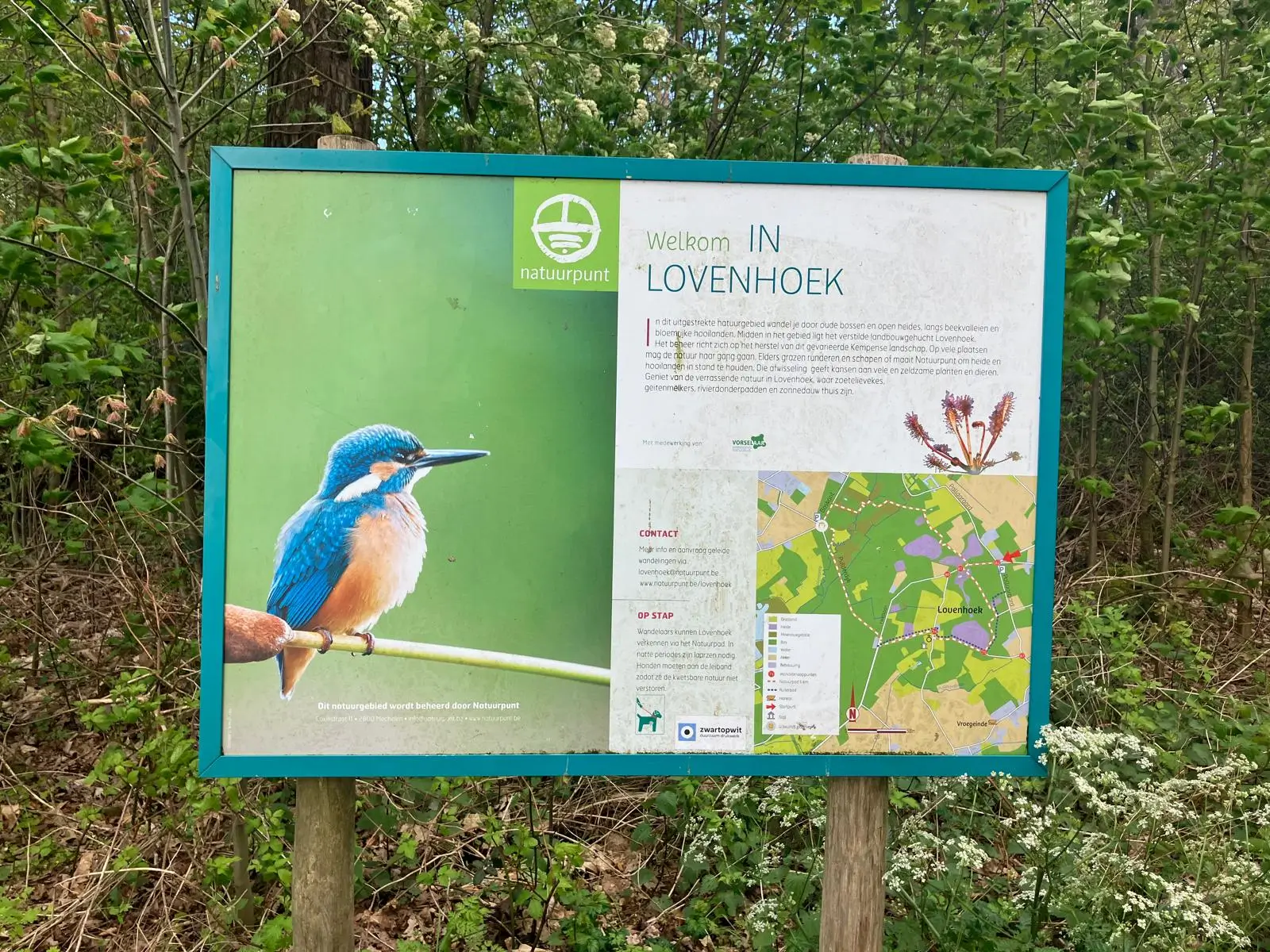 Wandeling afbeelding