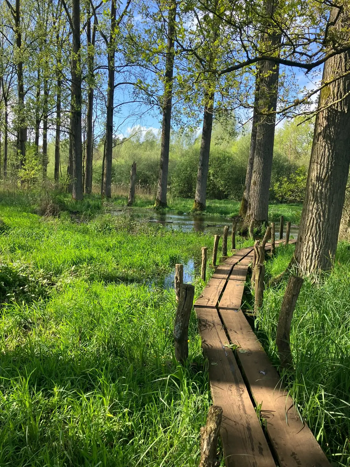 Wandeling afbeelding