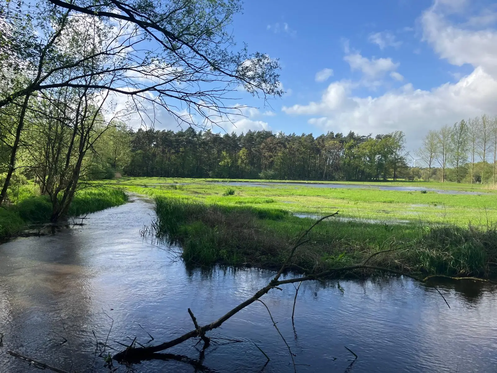 Wandeling afbeelding