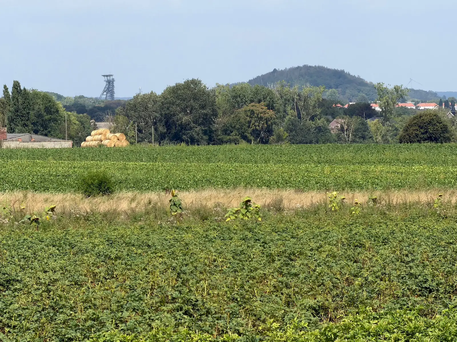 Wandeling afbeelding