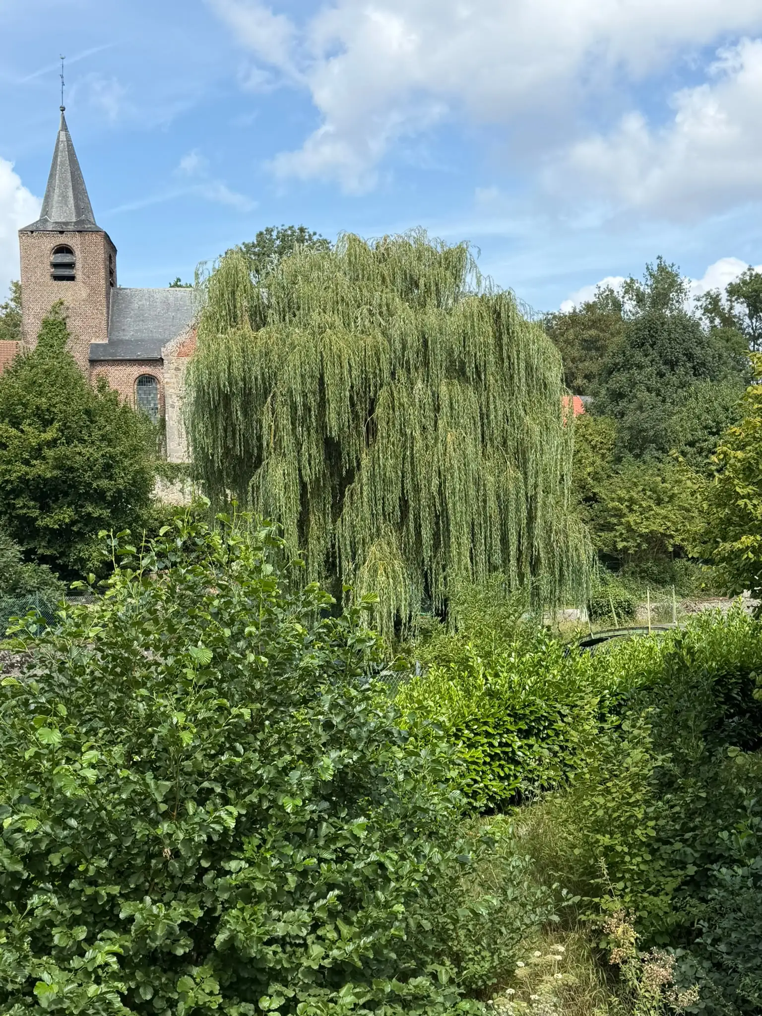 Wandeling afbeelding