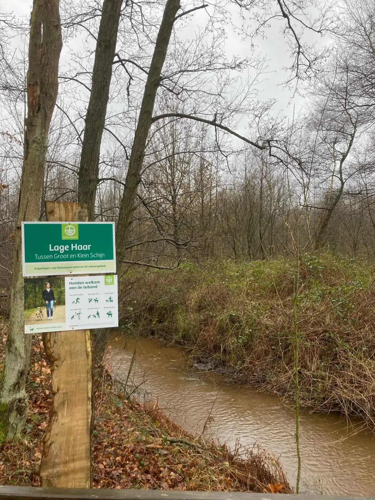 Wandeling afbeelding