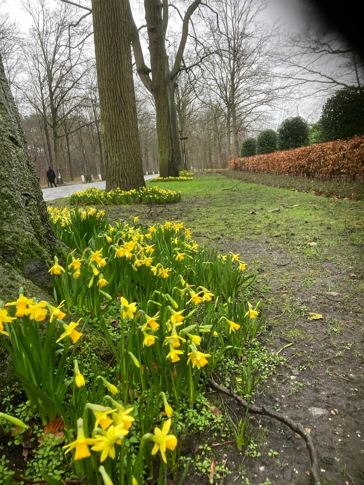 Wandeling afbeelding